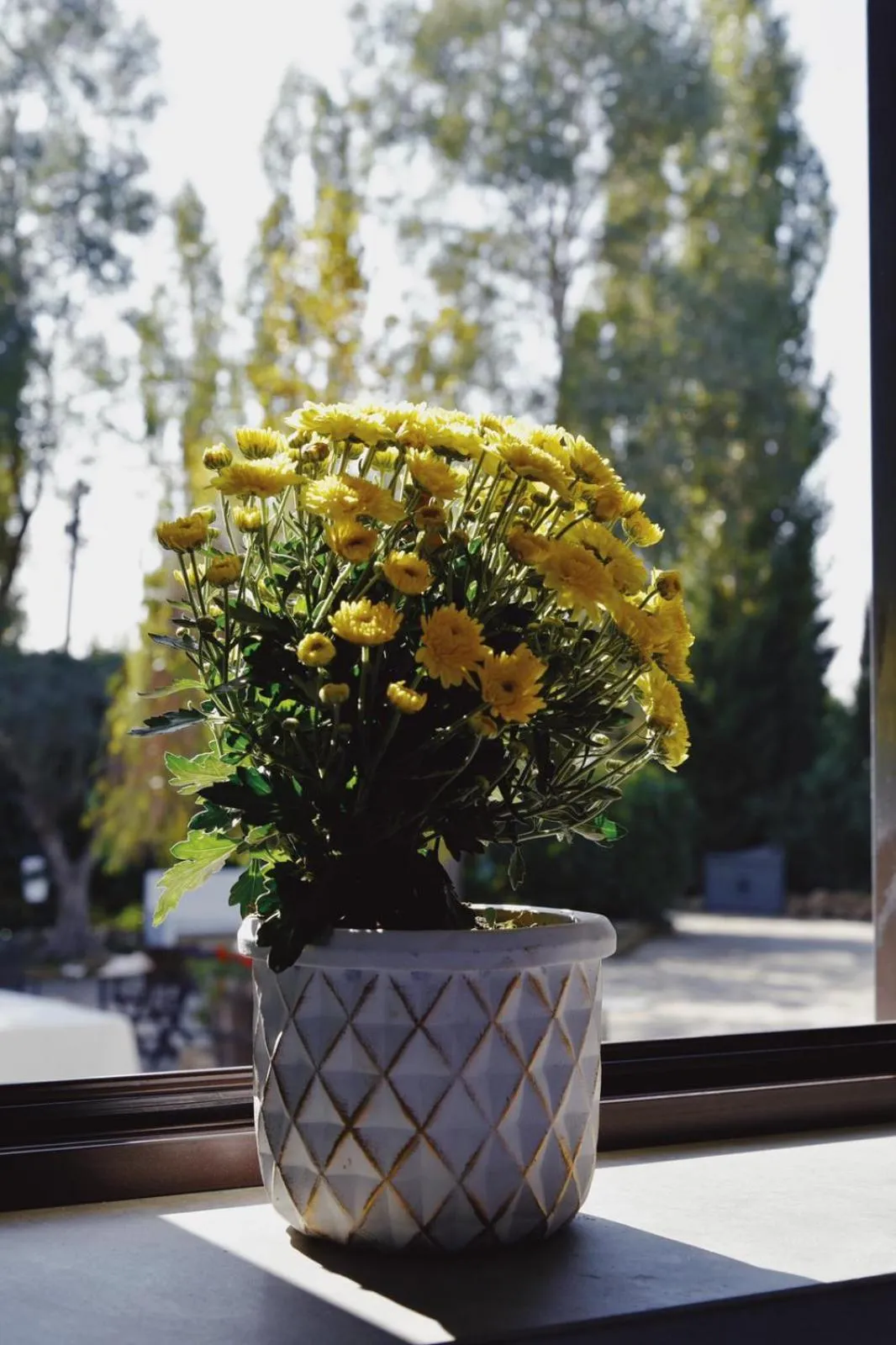 Property building in Casale Rurale