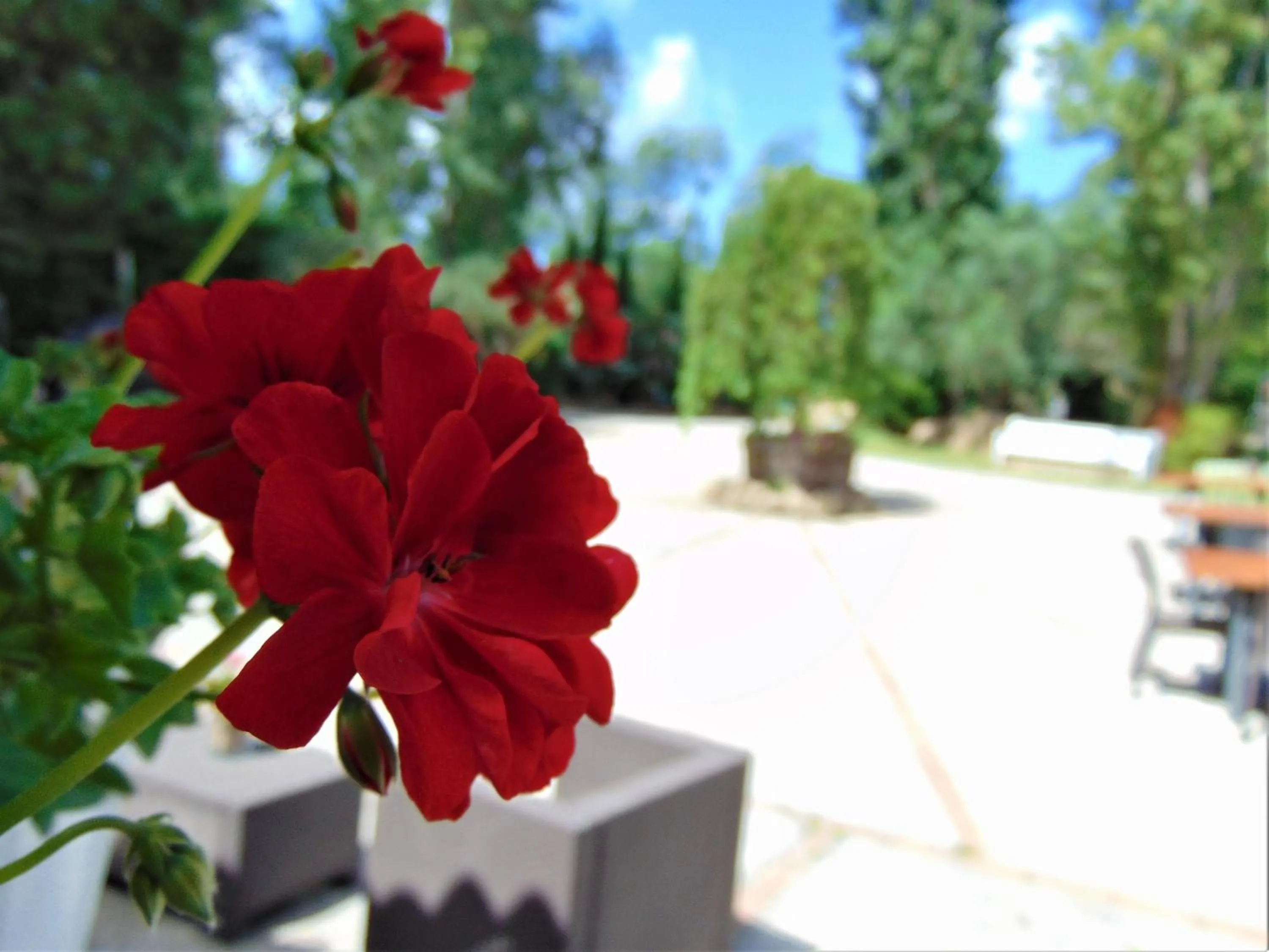 Patio in Casale Rurale
