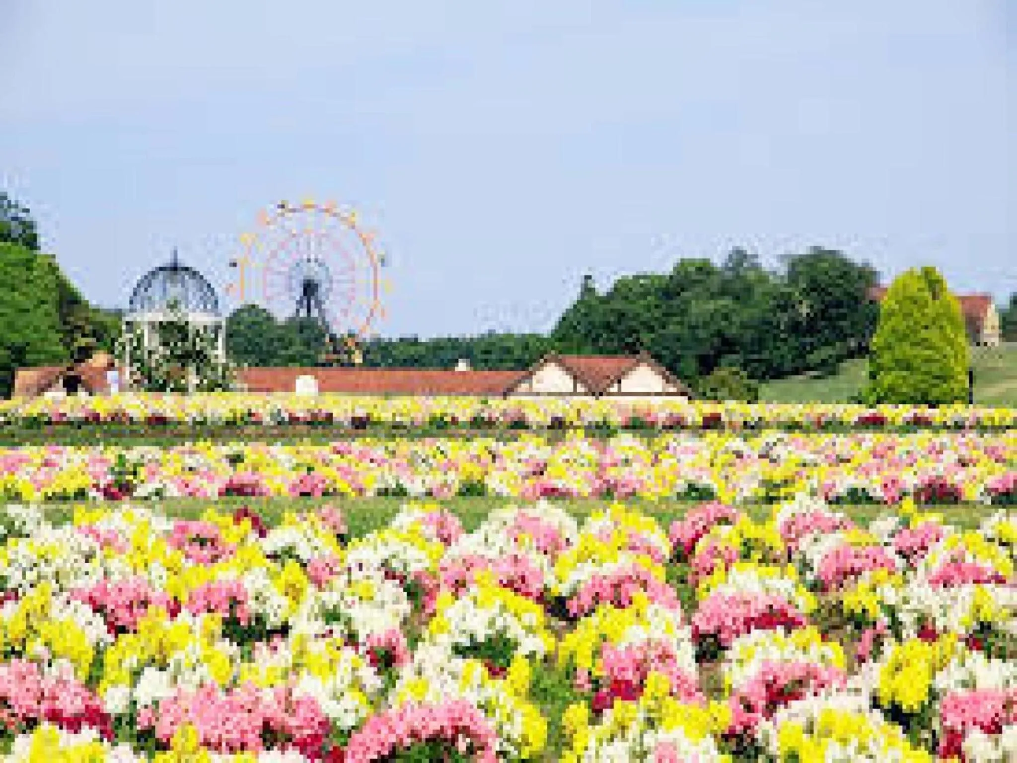 Hotel Royal Garden Kisarazu / Vacation STAY 72215