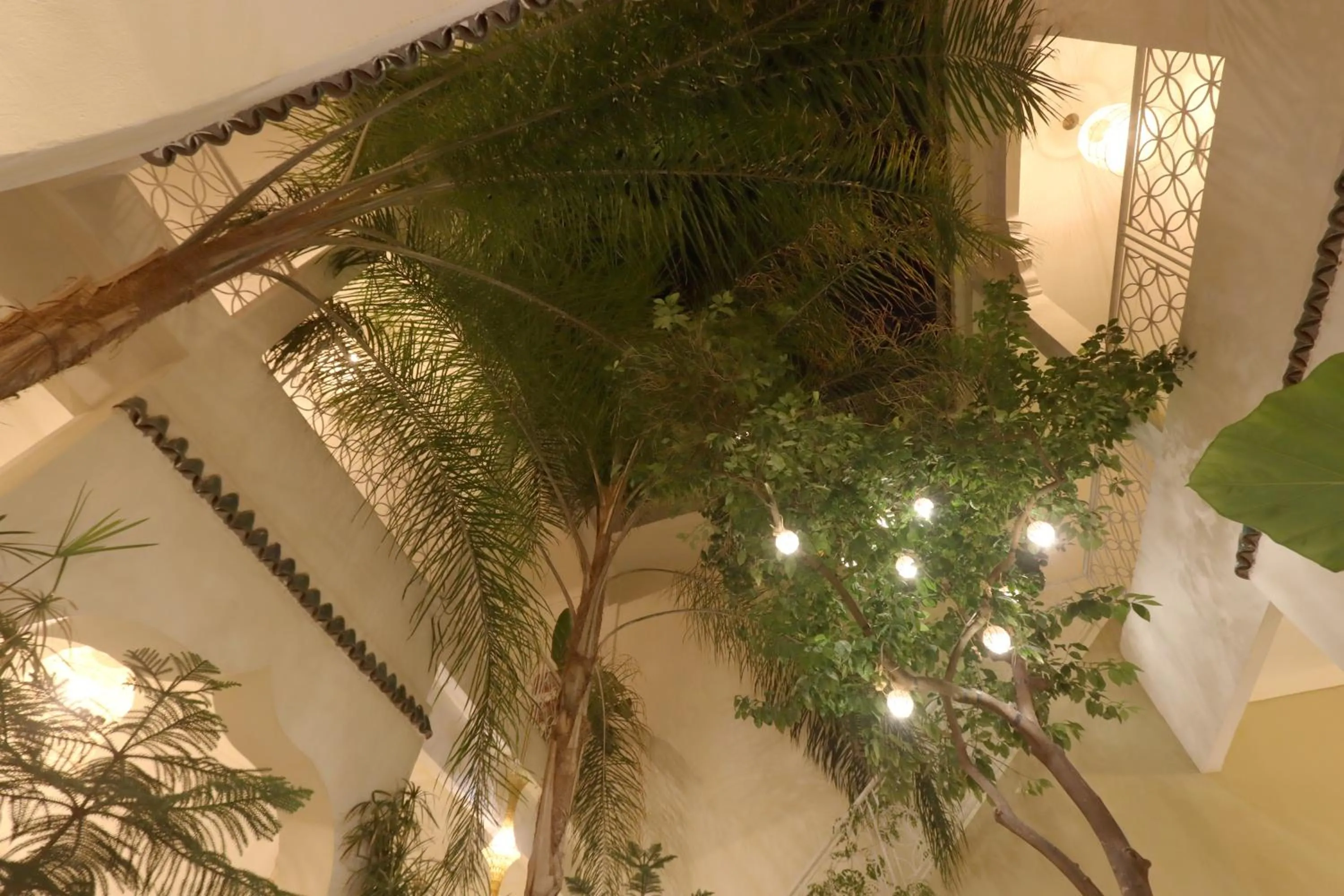Night in Riad NaaNaa Bed & Breakfast