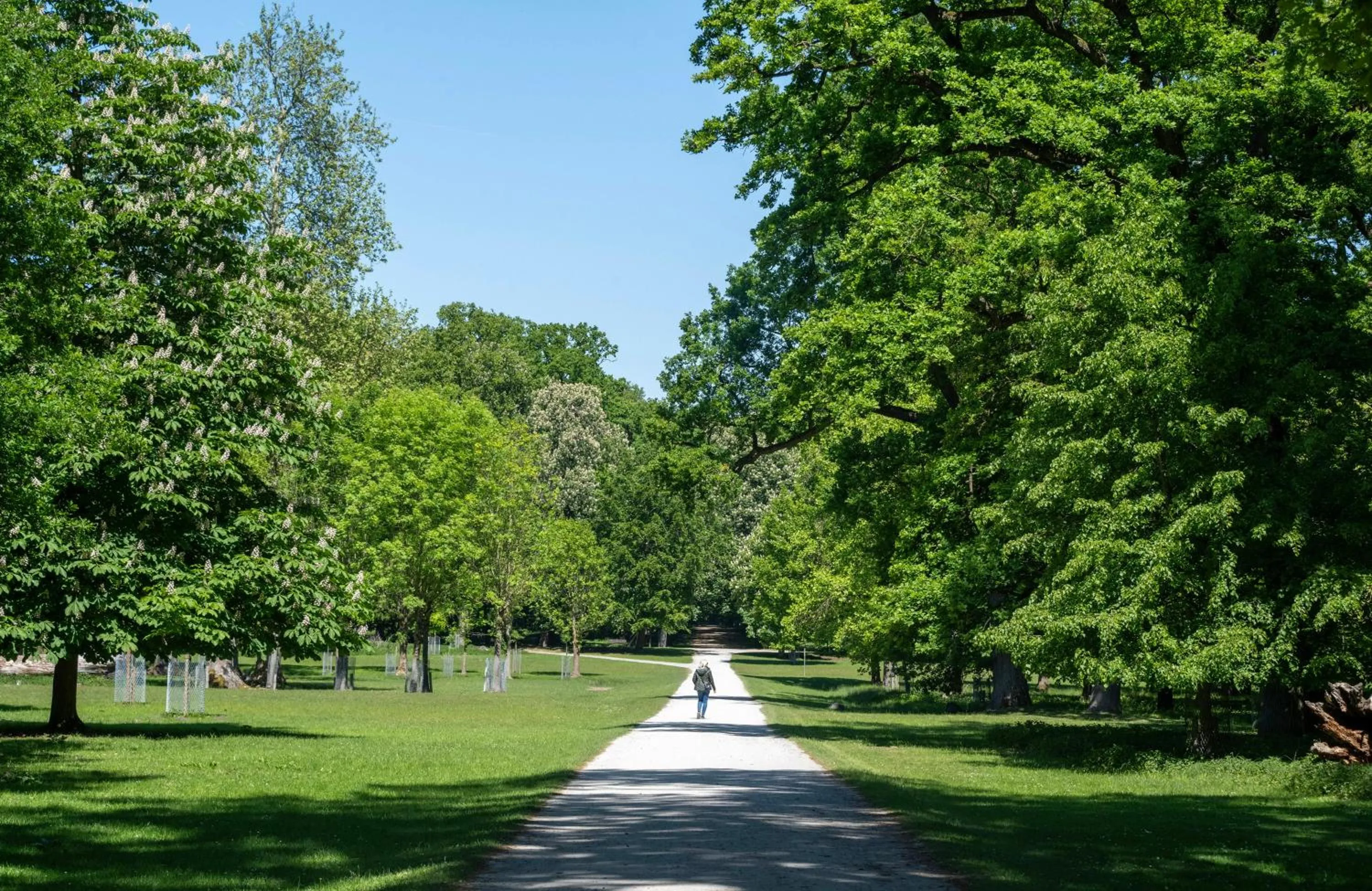 Garden view in Leonardo Hotel Hannover