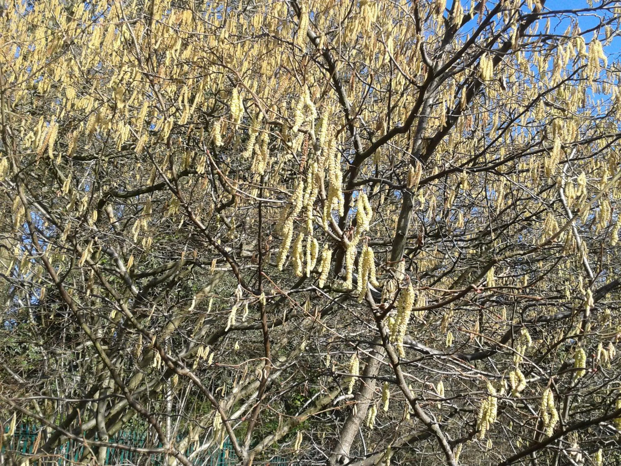 Natural landscape in Falmouth Lodge