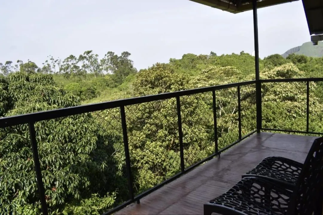 Balcony/Terrace in Biglaand Dew Castle