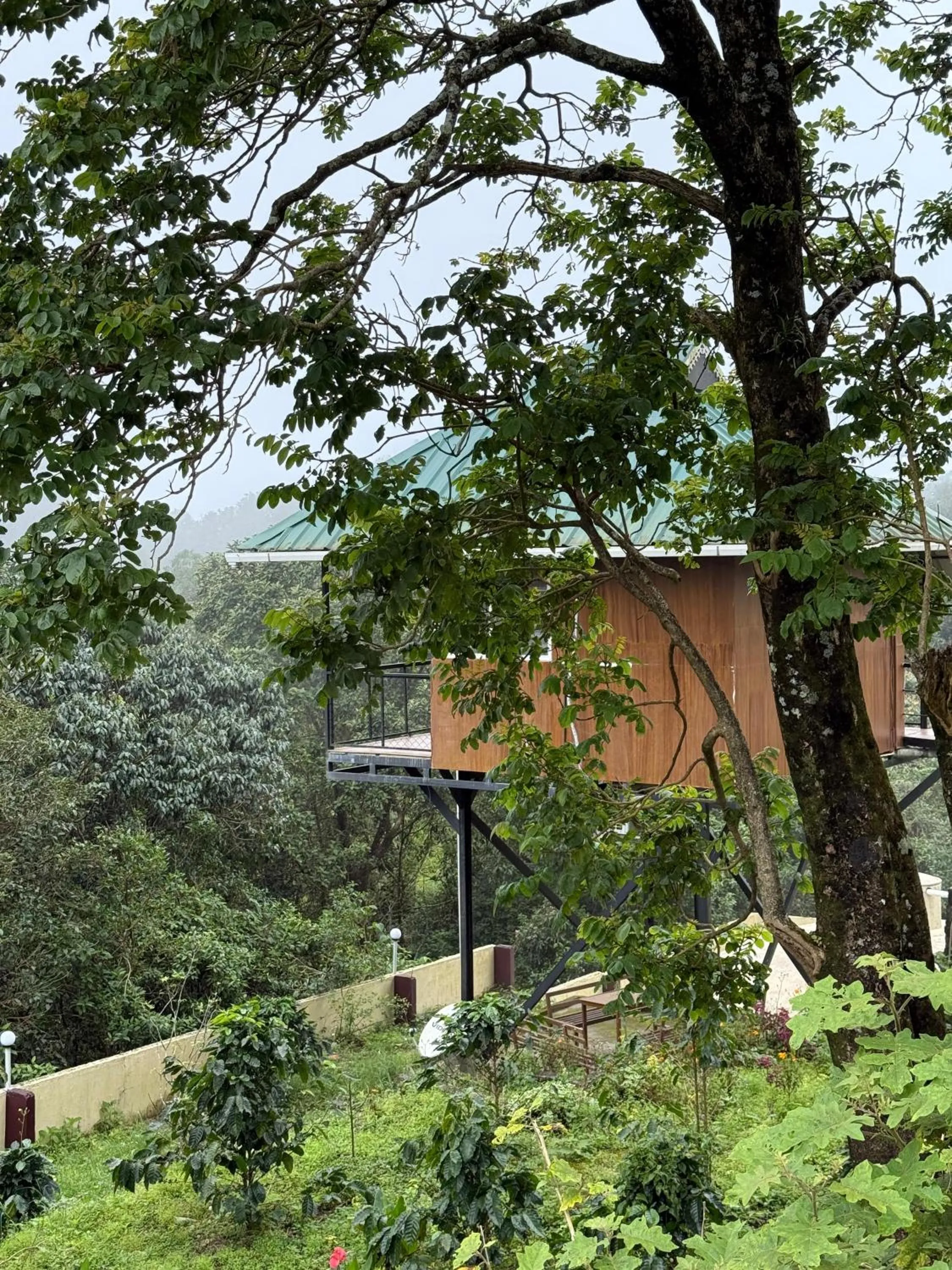 Other in Biglaand Dew Castle