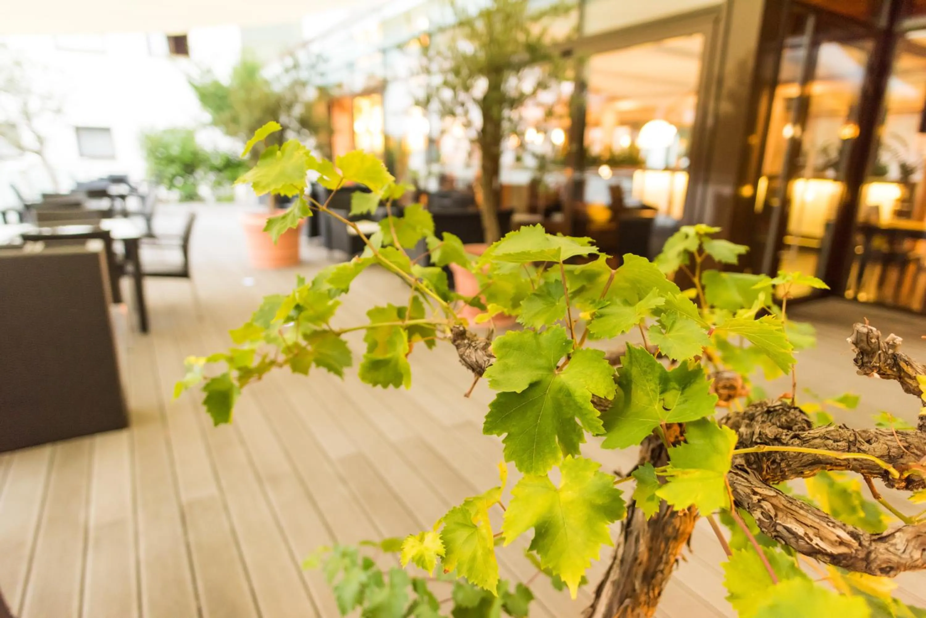 Balcony/Terrace in Hotel Stuttgart 21