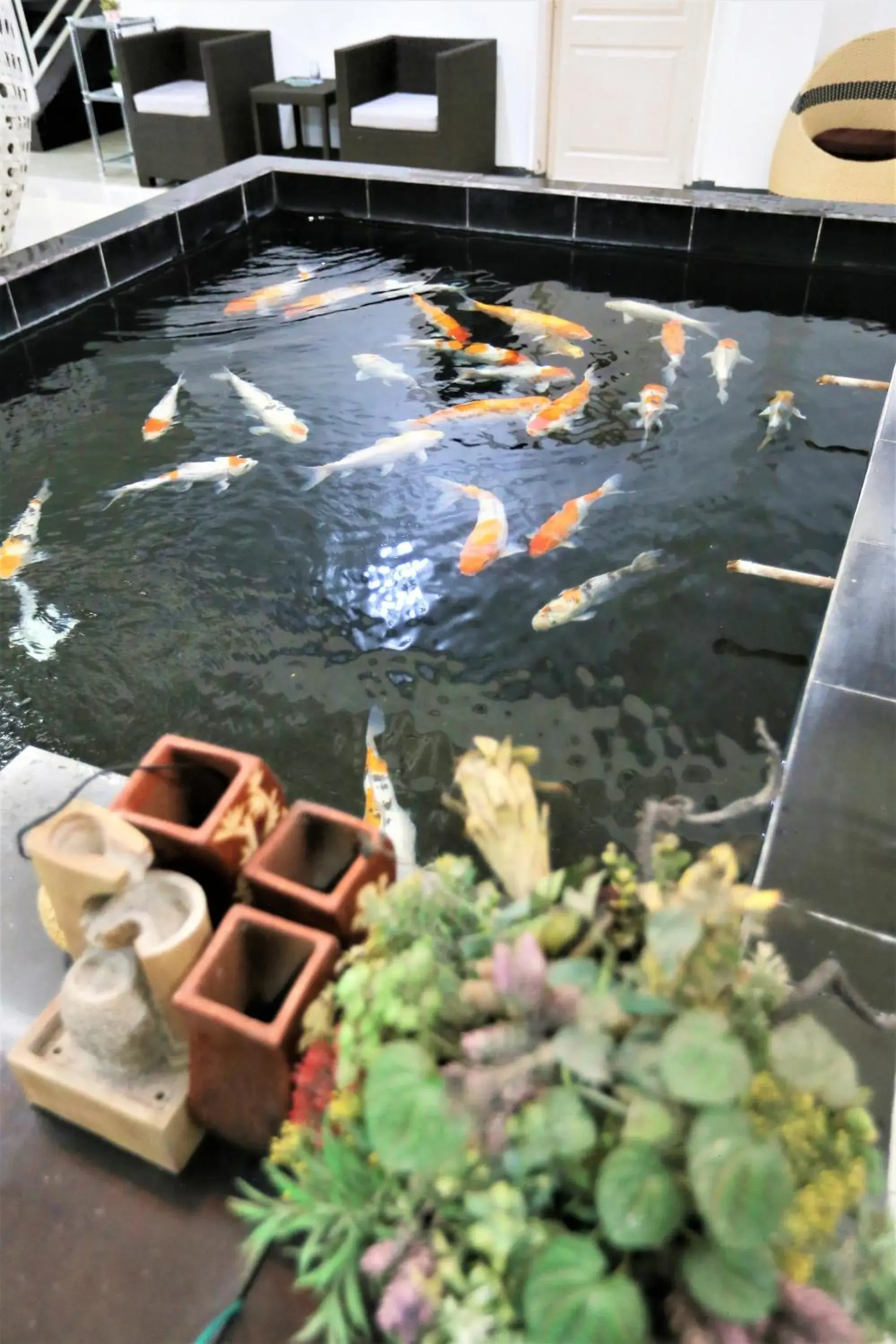 Lobby or reception in Gading Guest House Lobby or reception in Gading Guest House