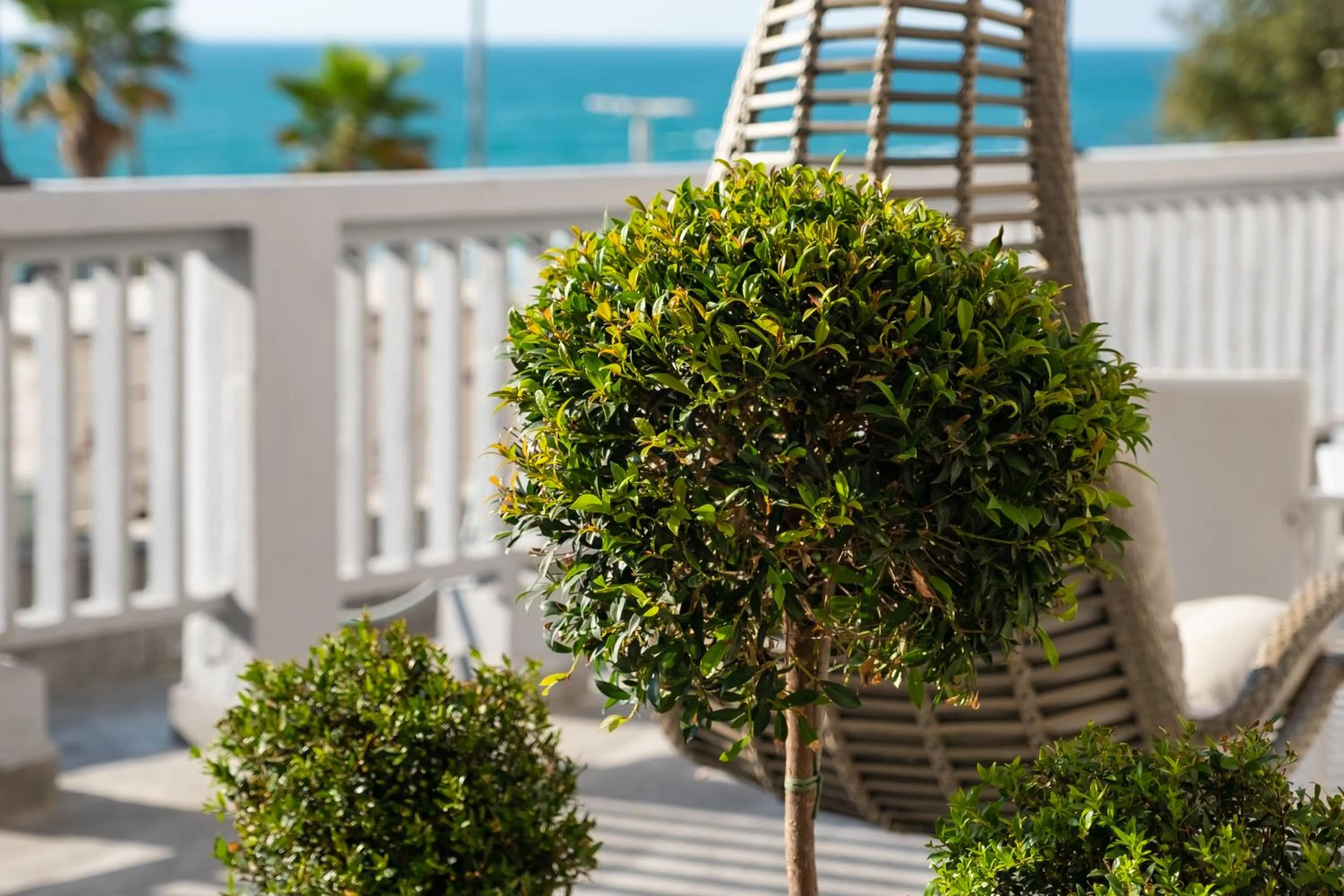 Balcony/Terrace in Hermitage Hotel