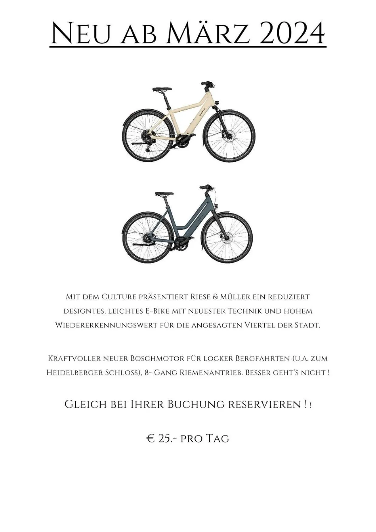 Cycling in Hotel Zur Alten Brücke