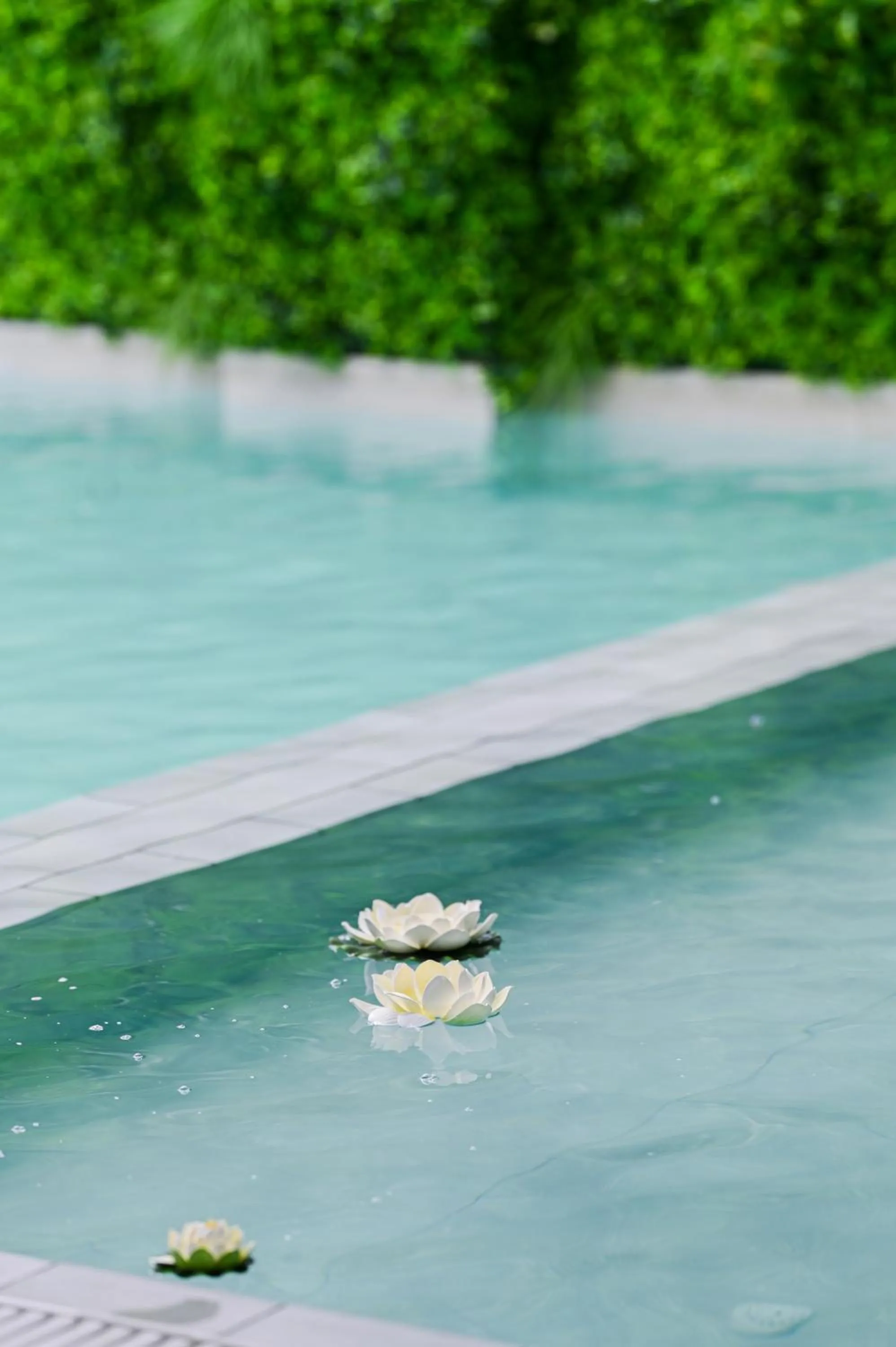 Swimming pool in Royal G Max