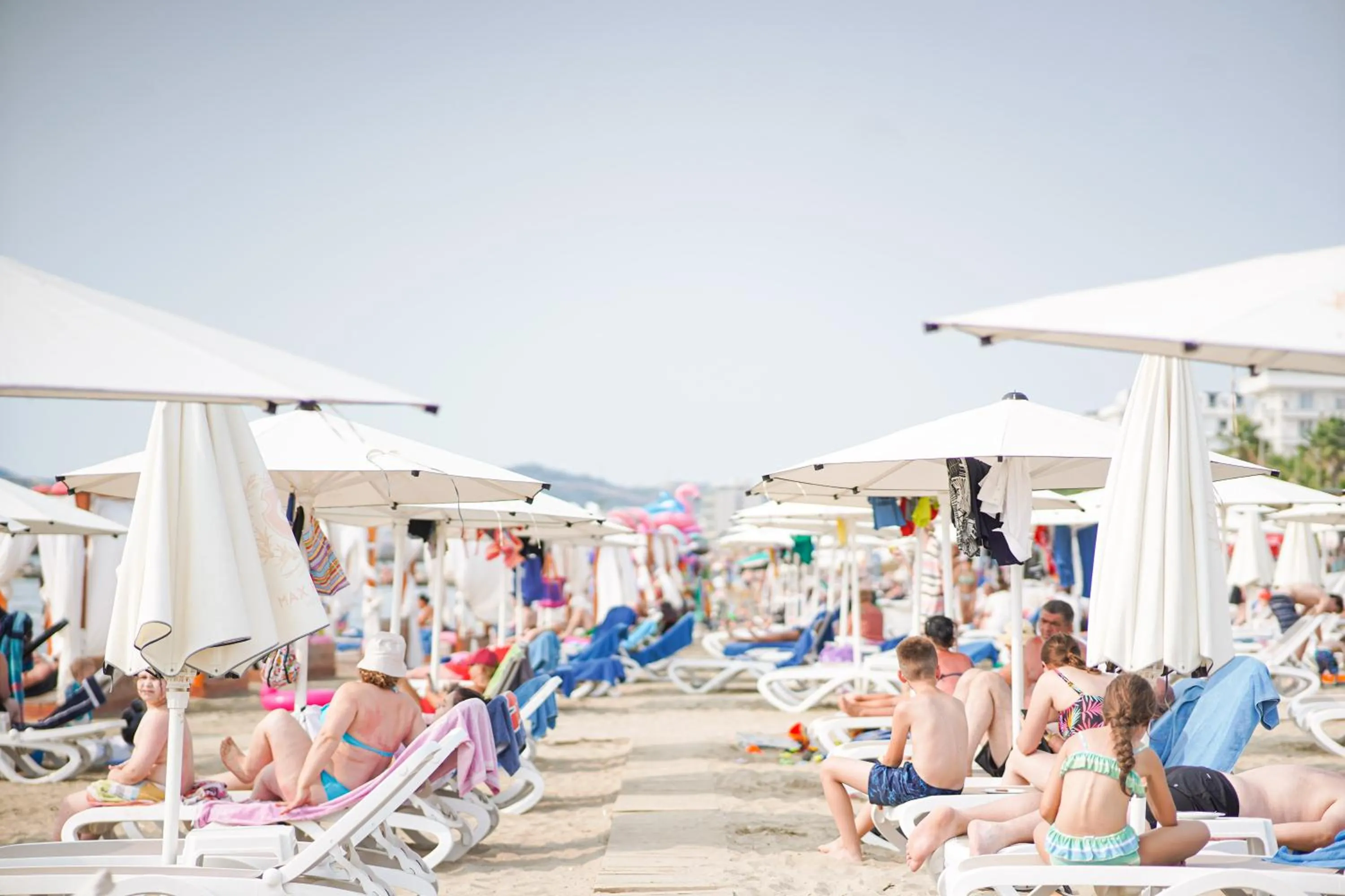 Beach in Royal G Max