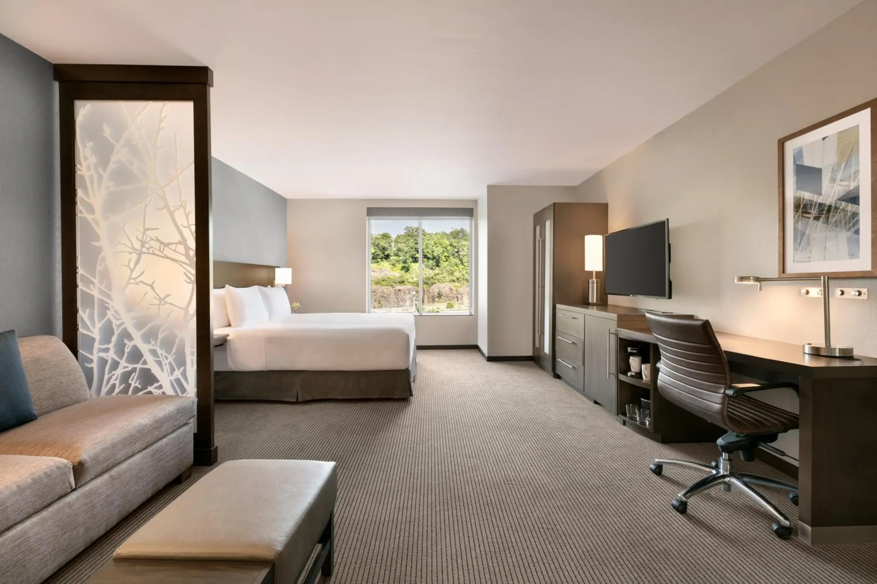 King Suite with Sofa Bed and Roll-In Shower - Disability Access in Hyatt Place Fort Lee/George Washington Bridge King Suite with Sofa Bed and Roll-In Shower - Disability Access in Hyatt Place Fort Lee/George Washington Bridge