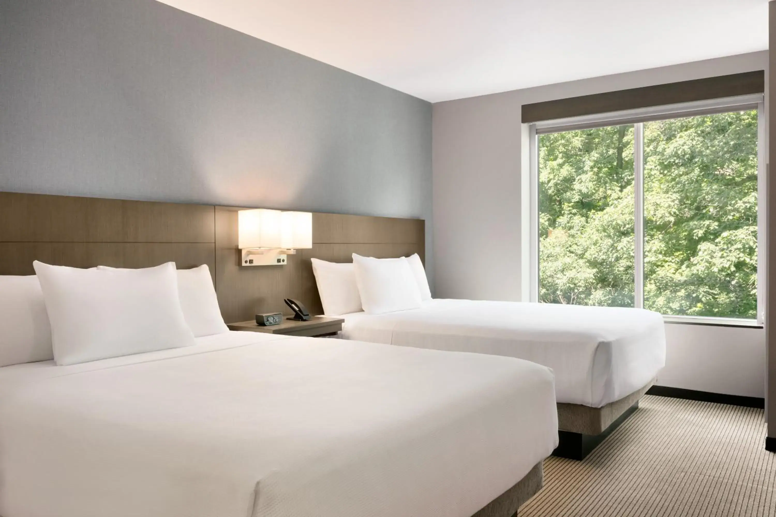 Bed in Hyatt Place Fort Lee/George Washington Bridge Bed in Hyatt Place Fort Lee/George Washington Bridge