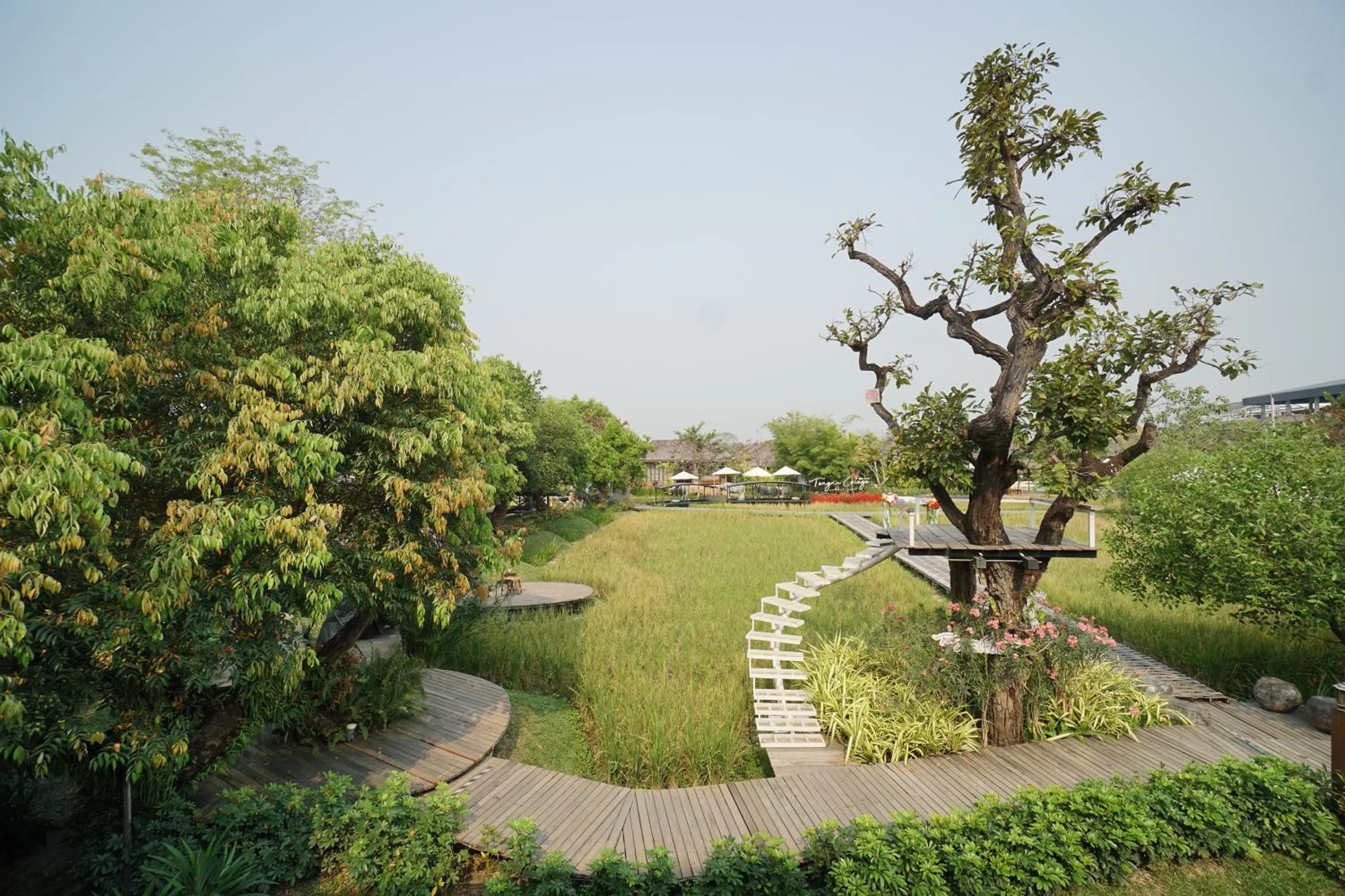 Restaurant/places to eat in Tongna Cottage Natural Resort