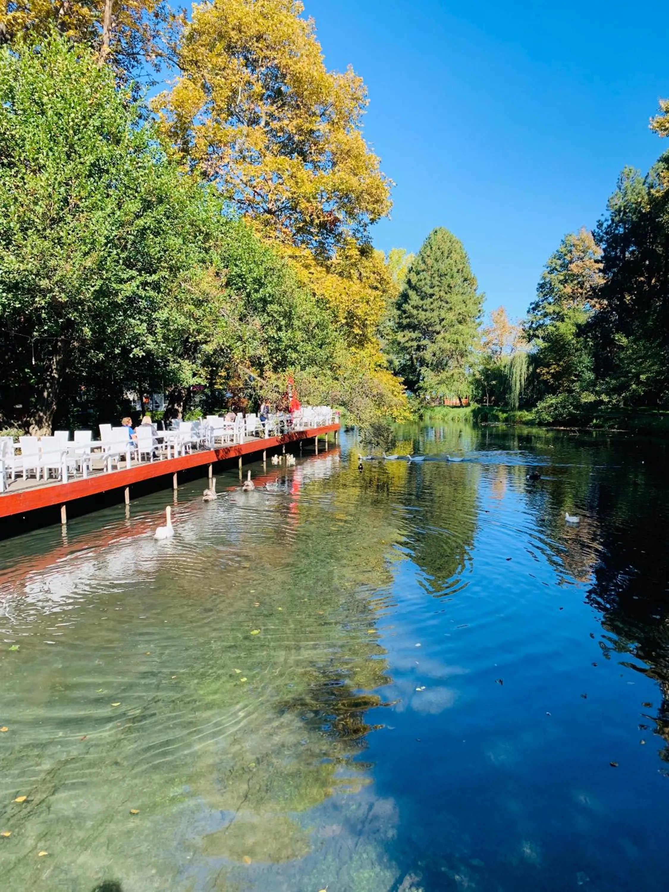 Natural landscape in Luxurious Apartment Lake View Pogradec
