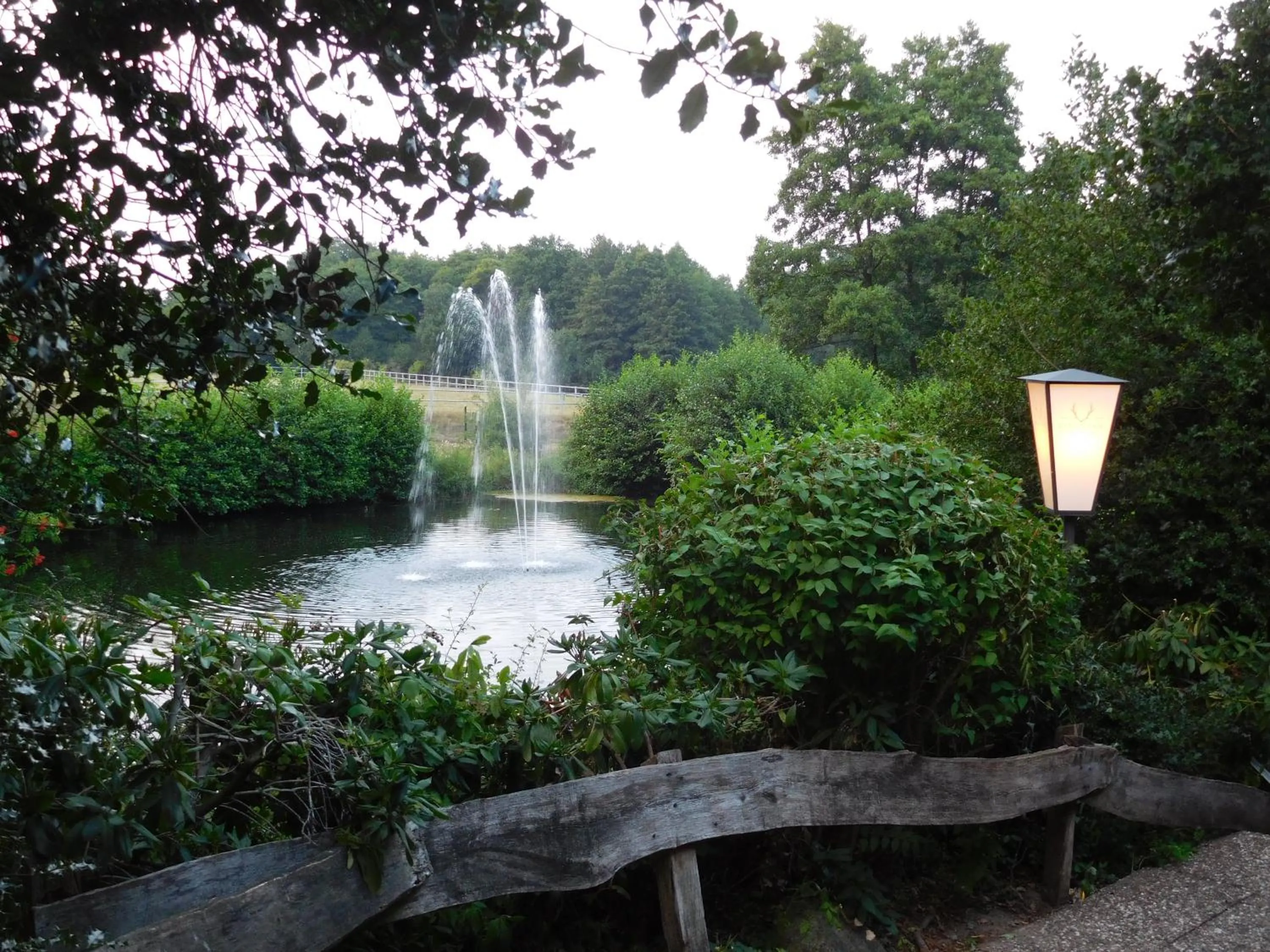 Natural landscape in Bergmark Hotel