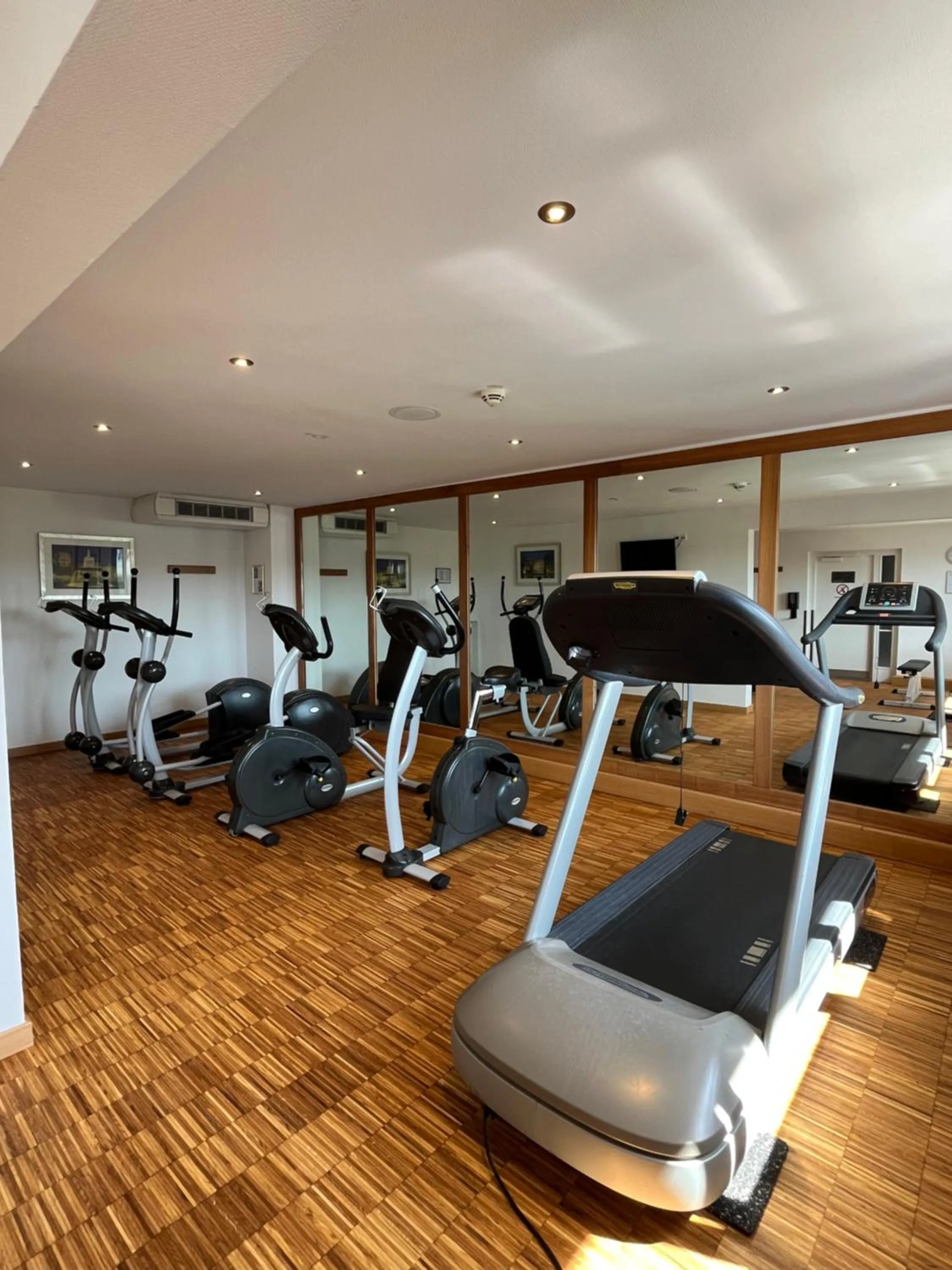 Fitness centre/facilities in Holiday Inn Stuttgart by IHG