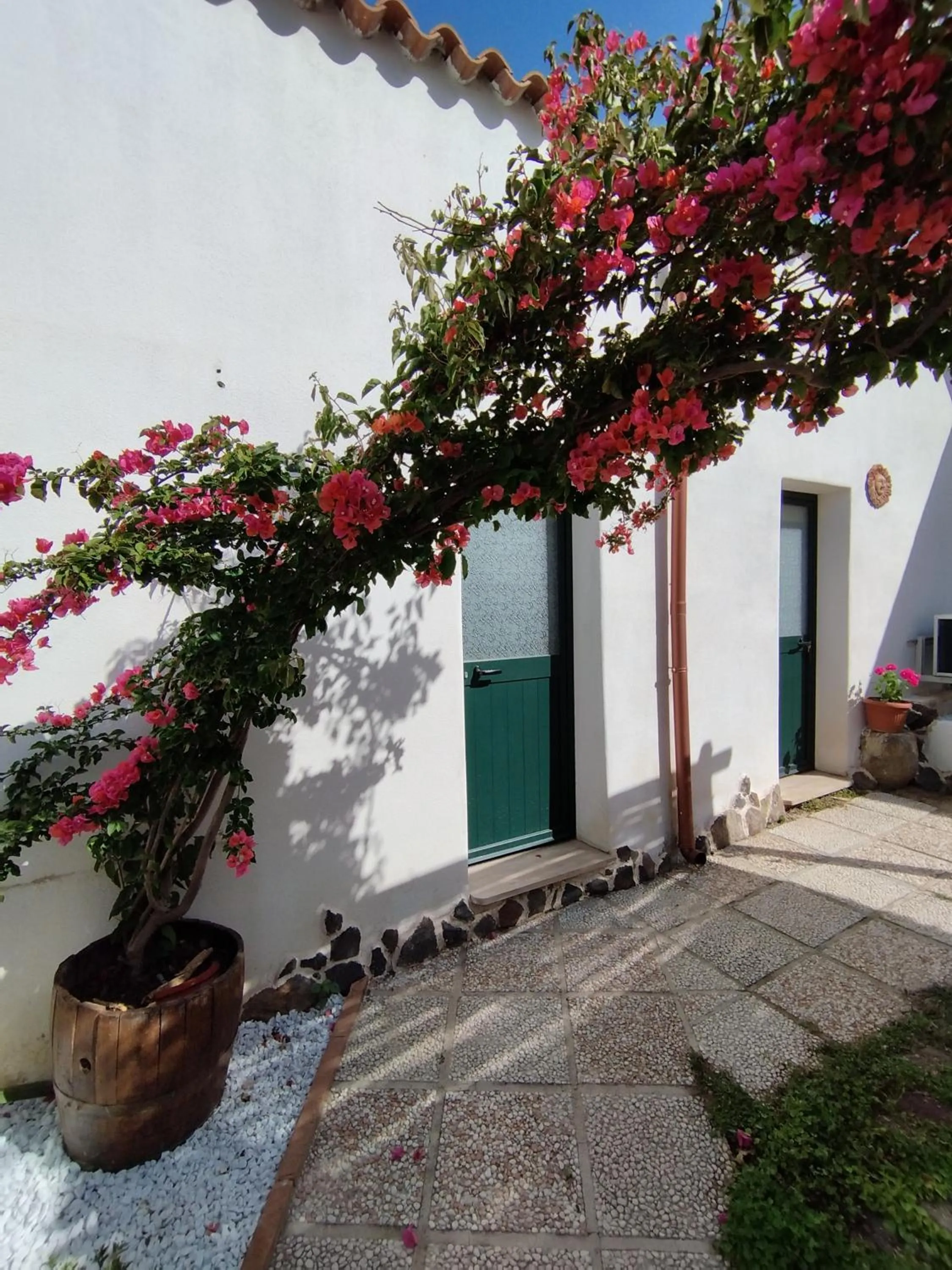 Garden in Bed And Breakfast Villa Bianca