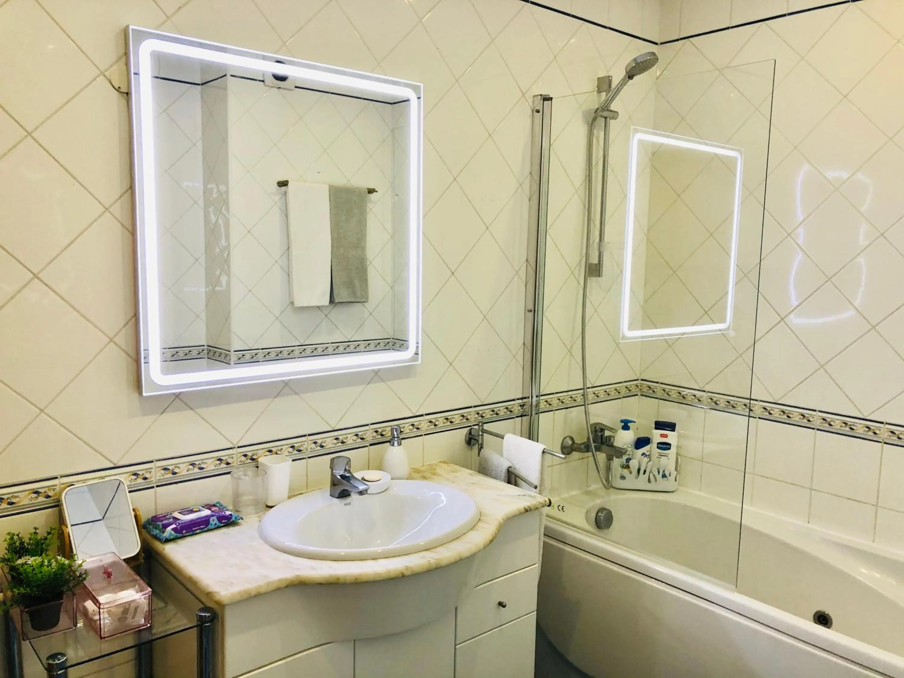 Bathroom in Galerias 90