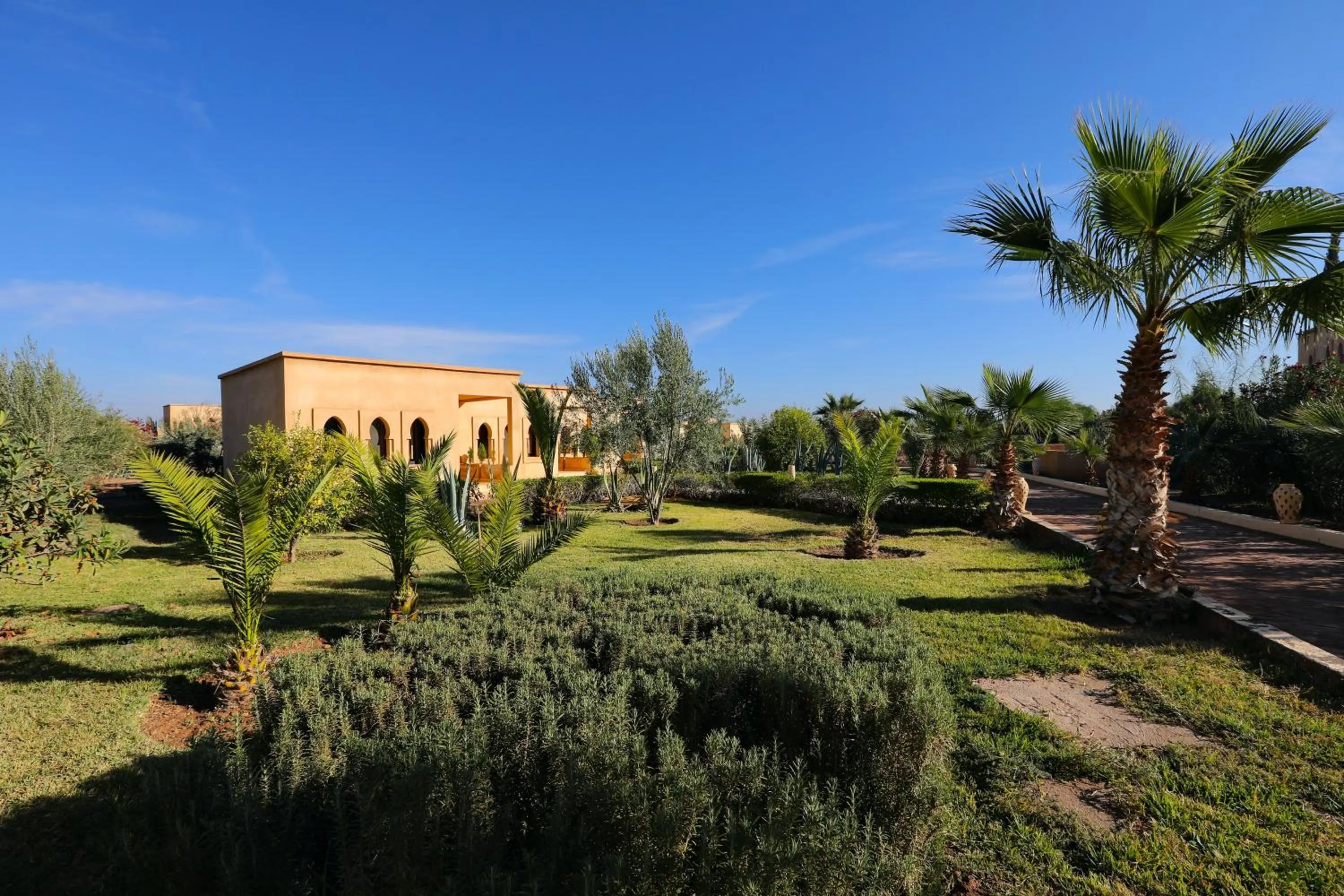 Garden in Atlas Widan