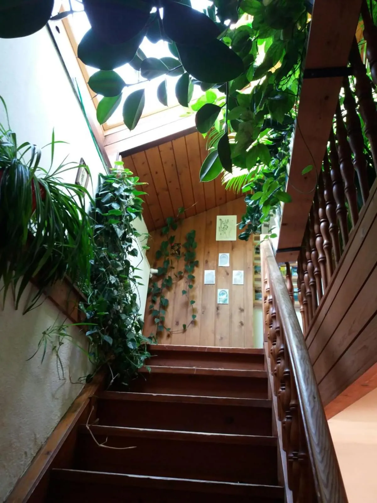 Lobby or reception in Köstlhof, Familie Hassler