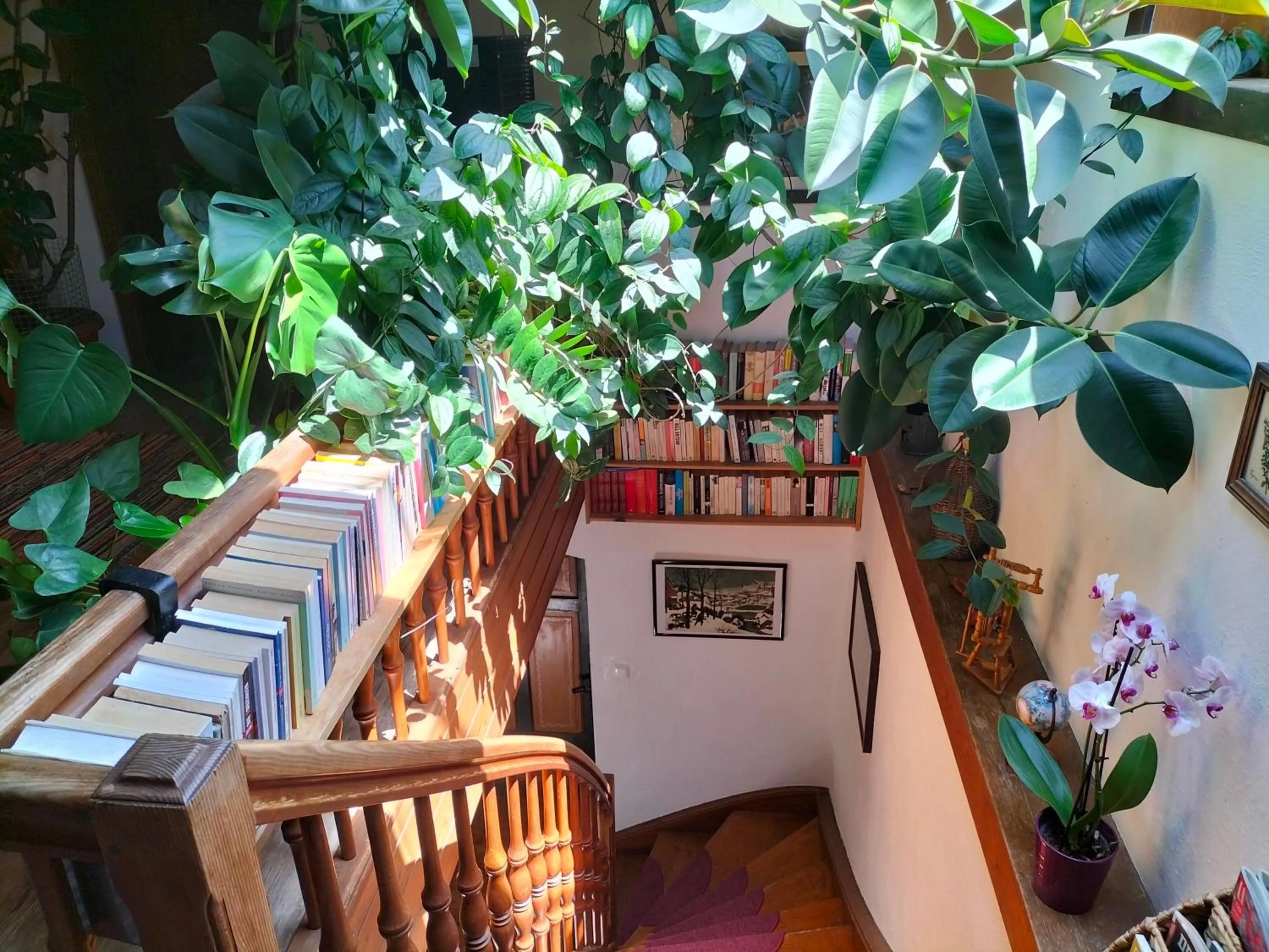 Property building in Köstlhof, Familie Hassler