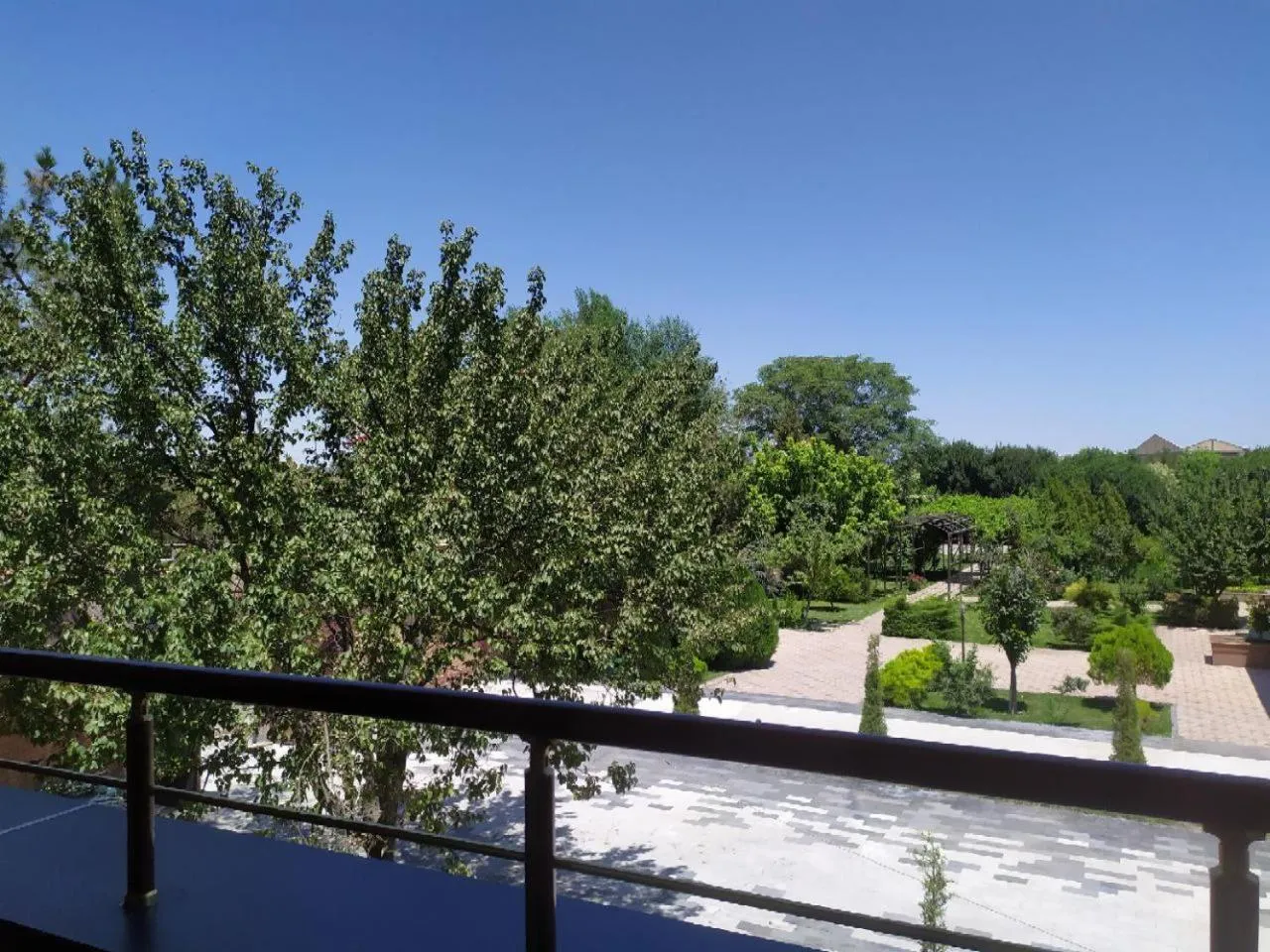 Day in Hotel Bukhara