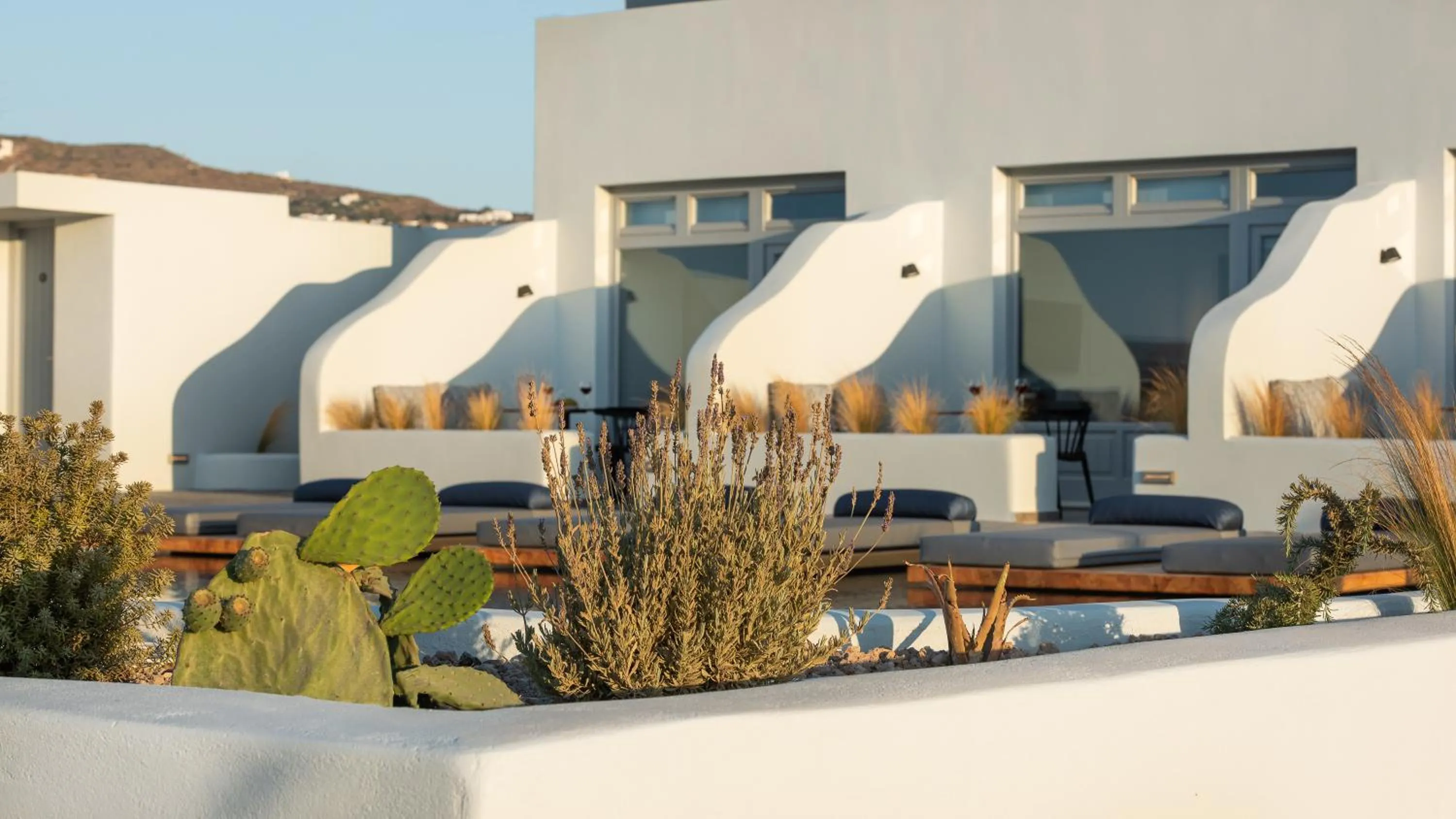 Area and facilities in Volcanic Arc Suites