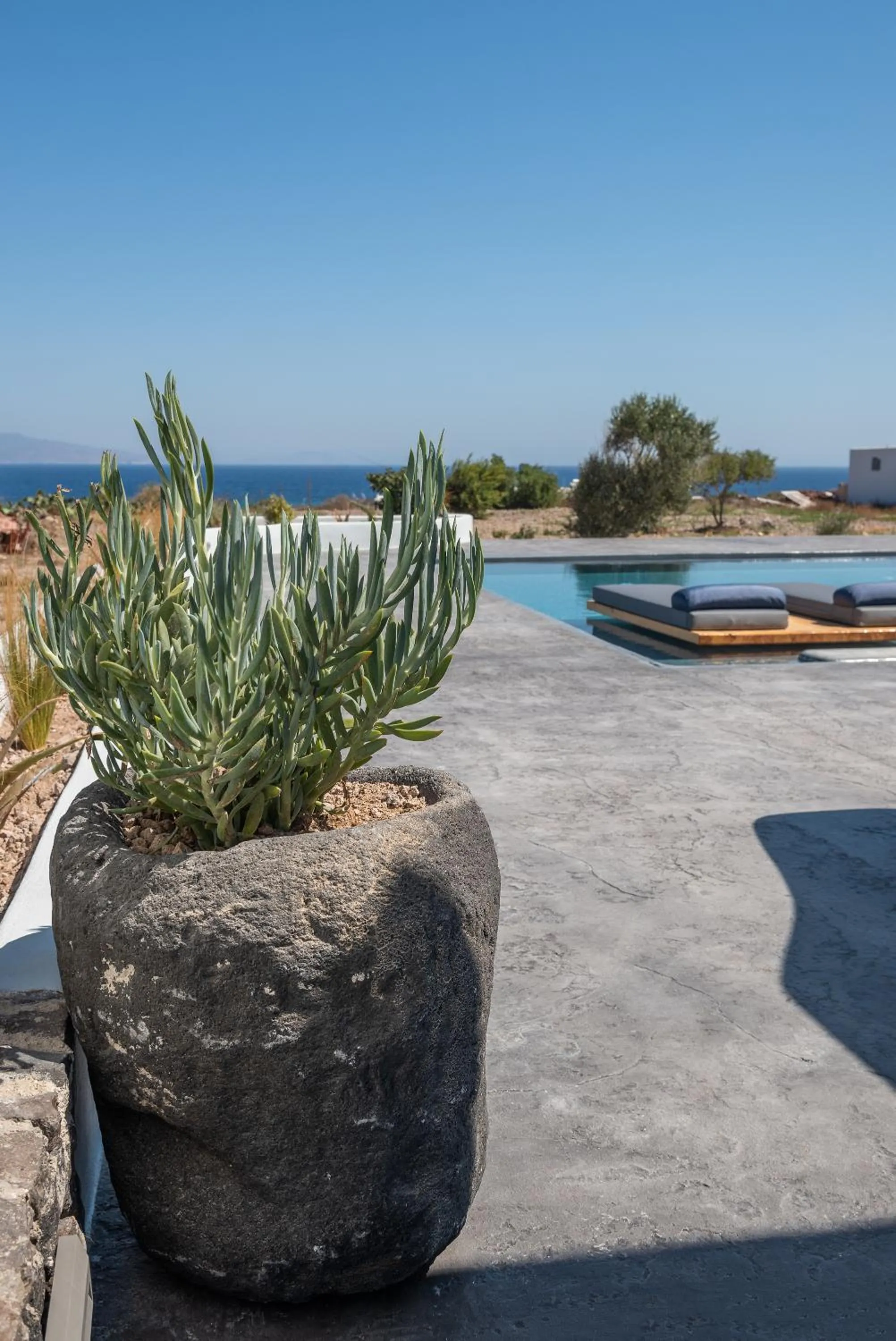 Decorative detail in Volcanic Arc Suites