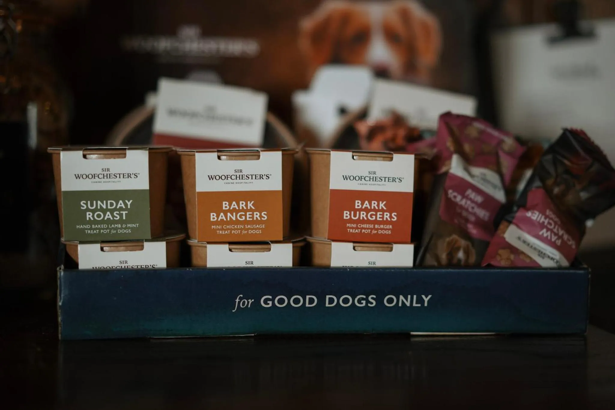 pet friendly in The Falkland Arms