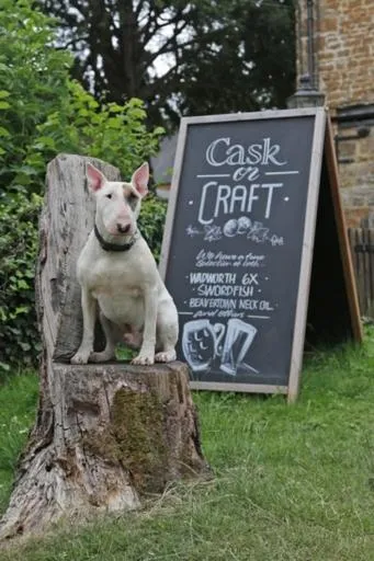 Garden in The Falkland Arms