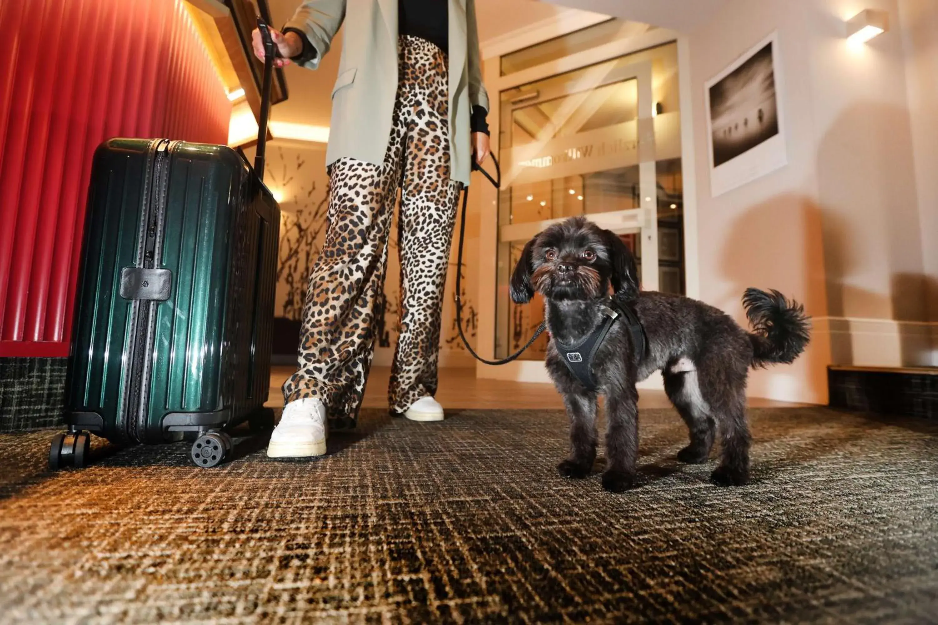 Lobby or reception in Best Western Hotel Windorf Lobby or reception in Best Western Hotel Windorf