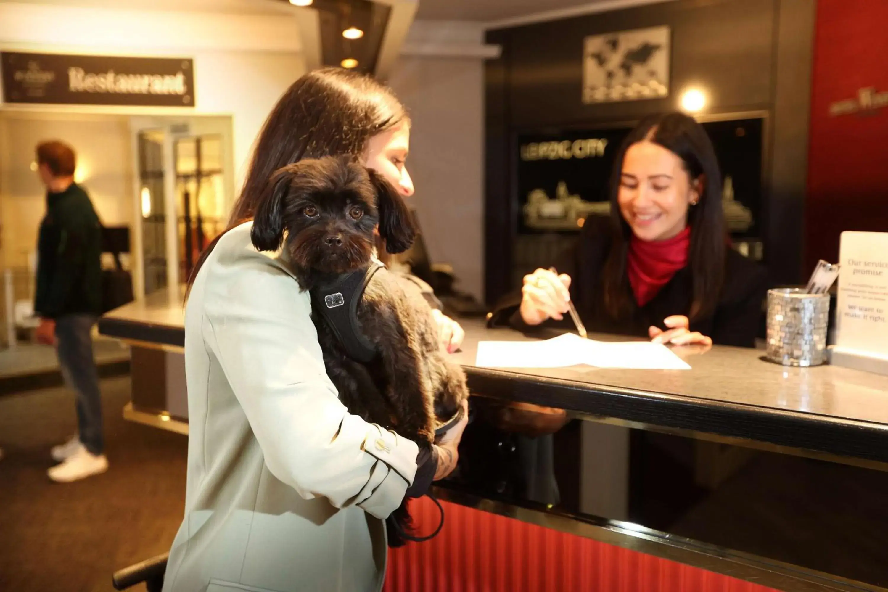 Lobby or reception in Best Western Hotel Windorf Lobby or reception in Best Western Hotel Windorf