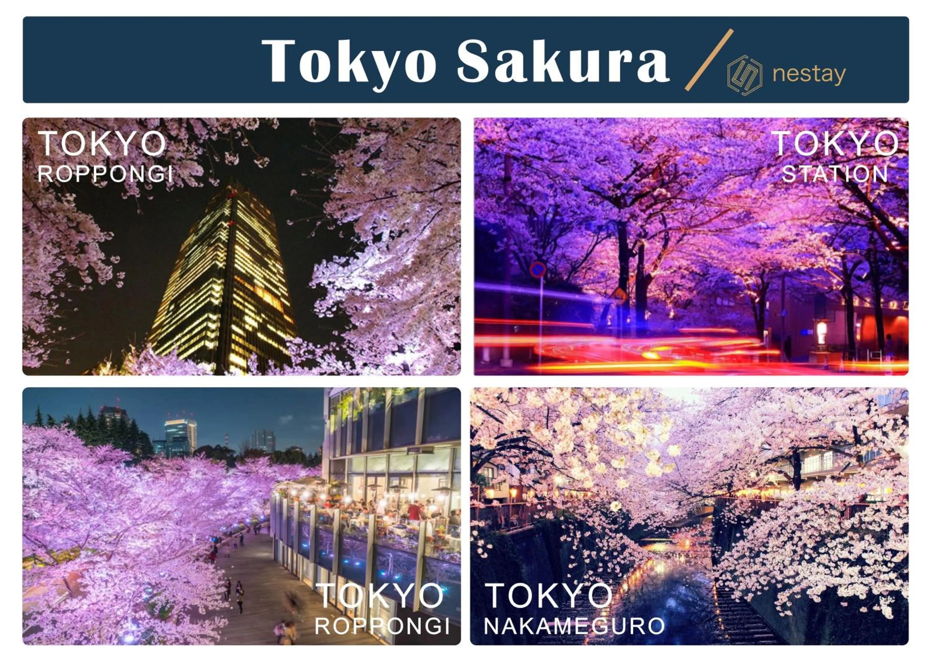 nestay villa tokyo otsuka