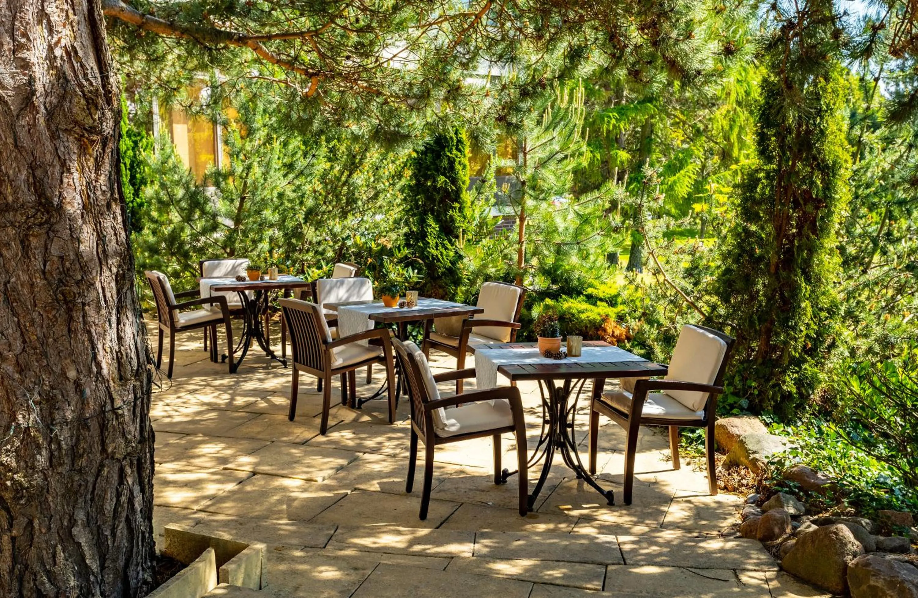 Balcony/Terrace in Cliff Hotel Rügen