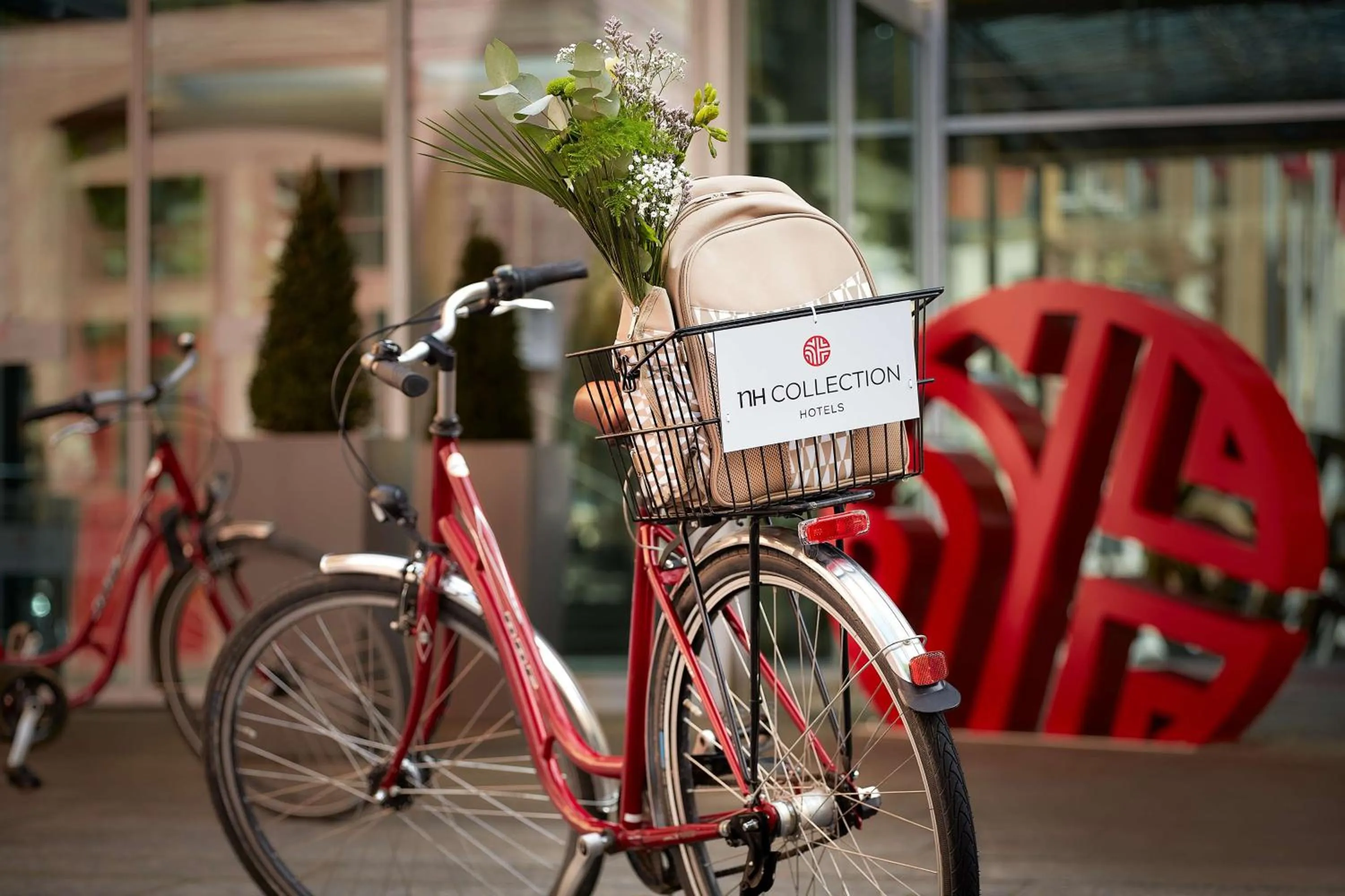 Sports in NH Collection Heidelberg