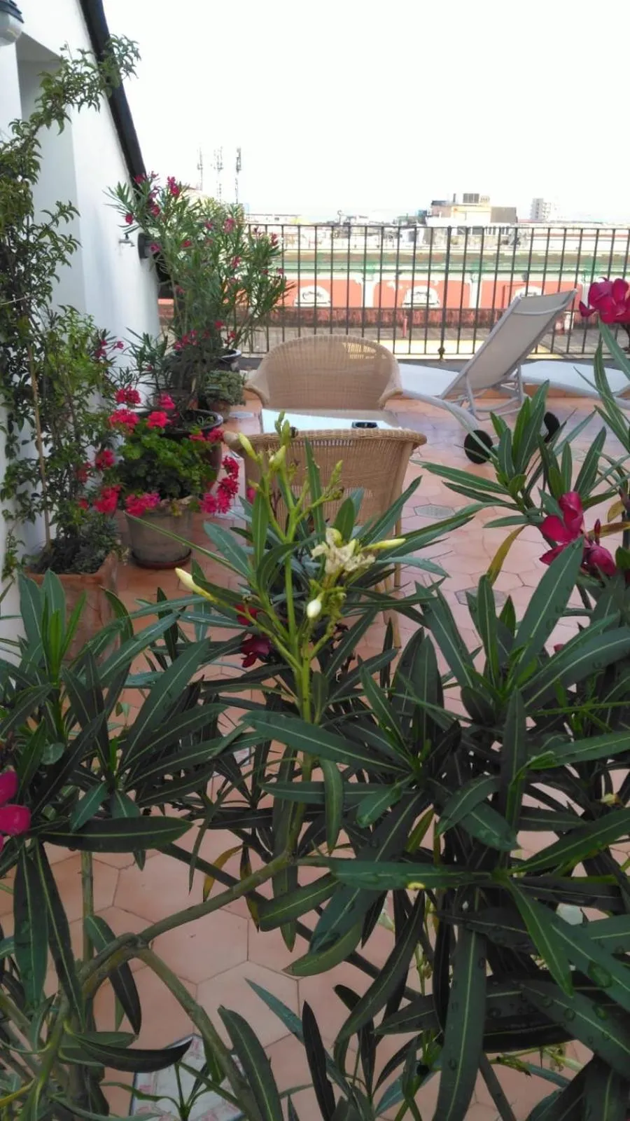 Balcony/Terrace in Janare - Rooms & Terrace