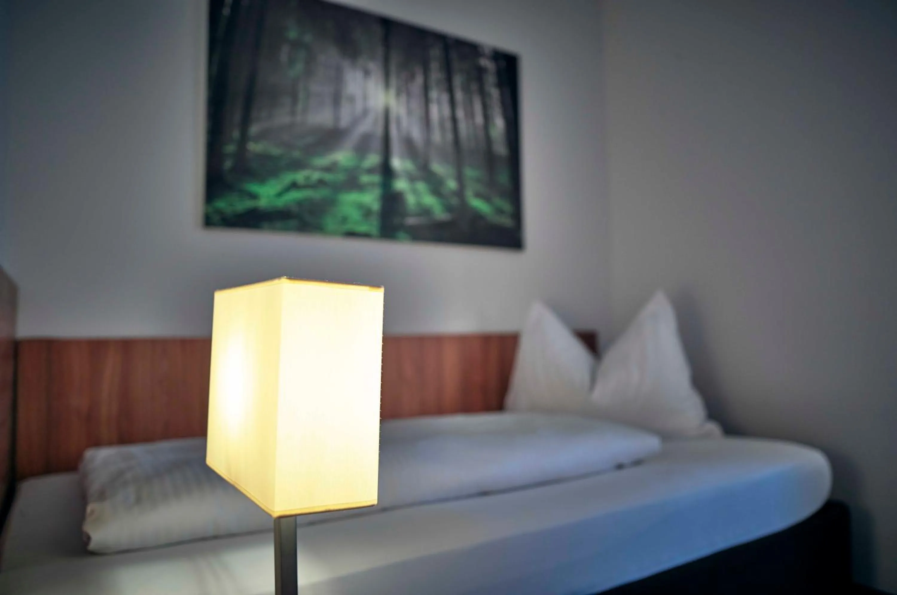 Photo of the whole room, Bed in Hotel Lindenhof