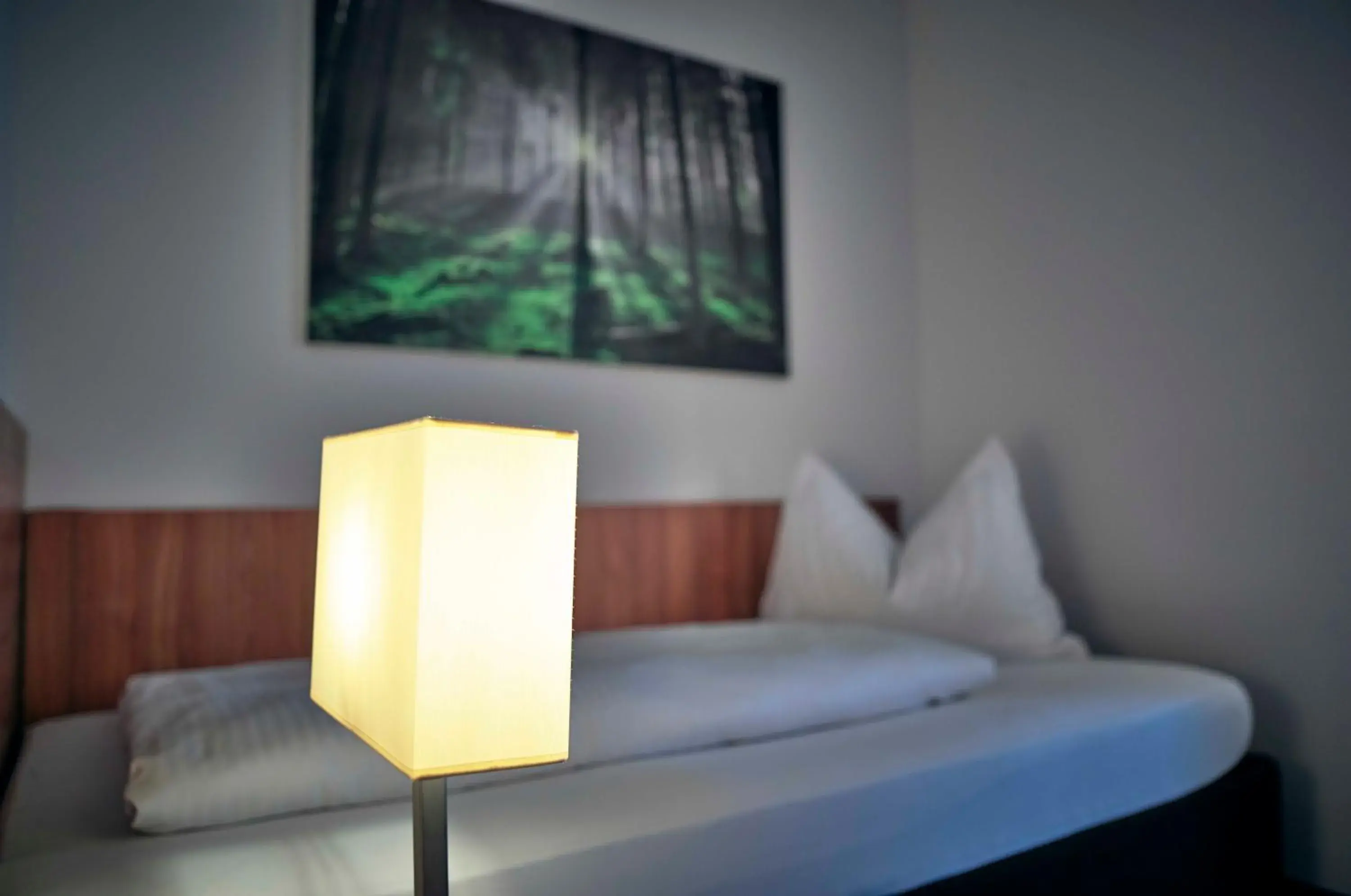 Photo of the whole room, Bed in Hotel Lindenhof Photo of the whole room, Bed in Hotel Lindenhof