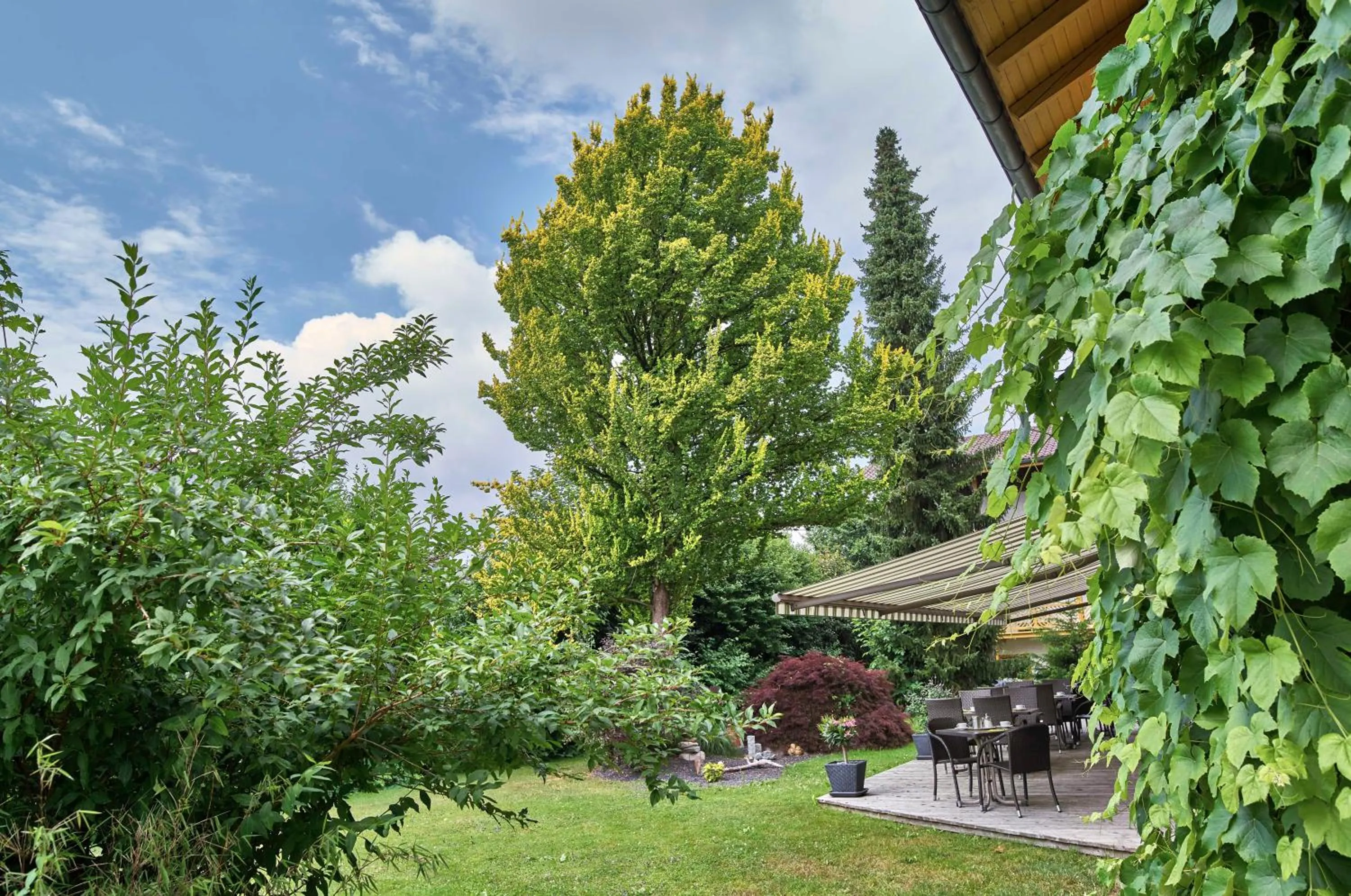 Garden in Hotel Lindenhof