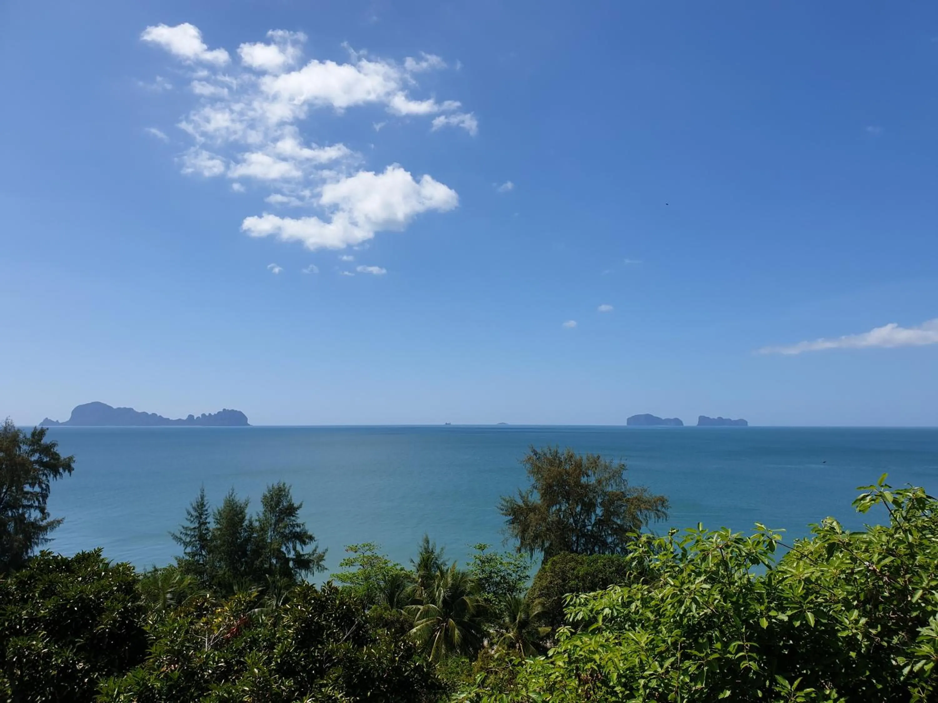 Natural landscape in Cameron Island Resort