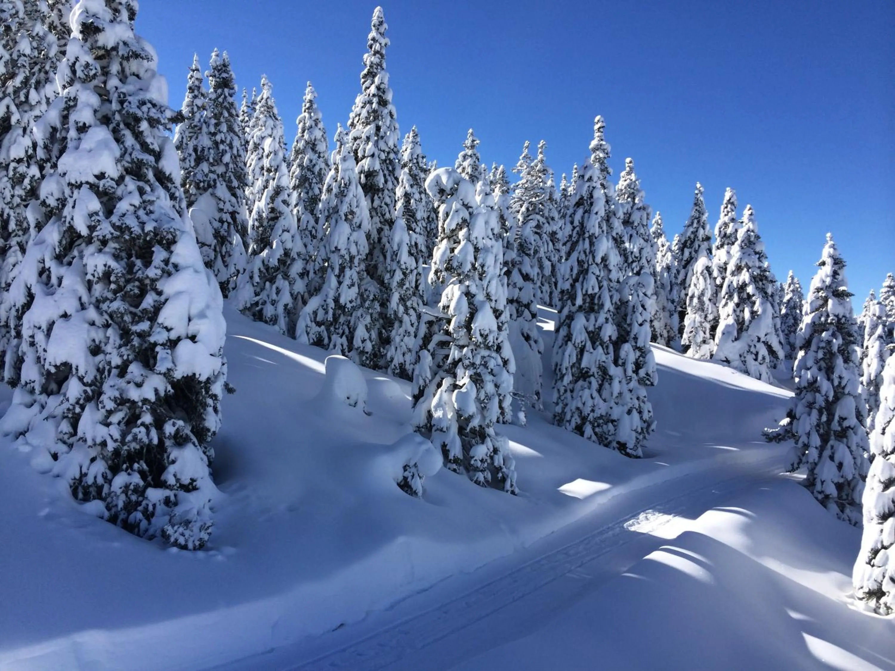 Day in Hotel Regent's