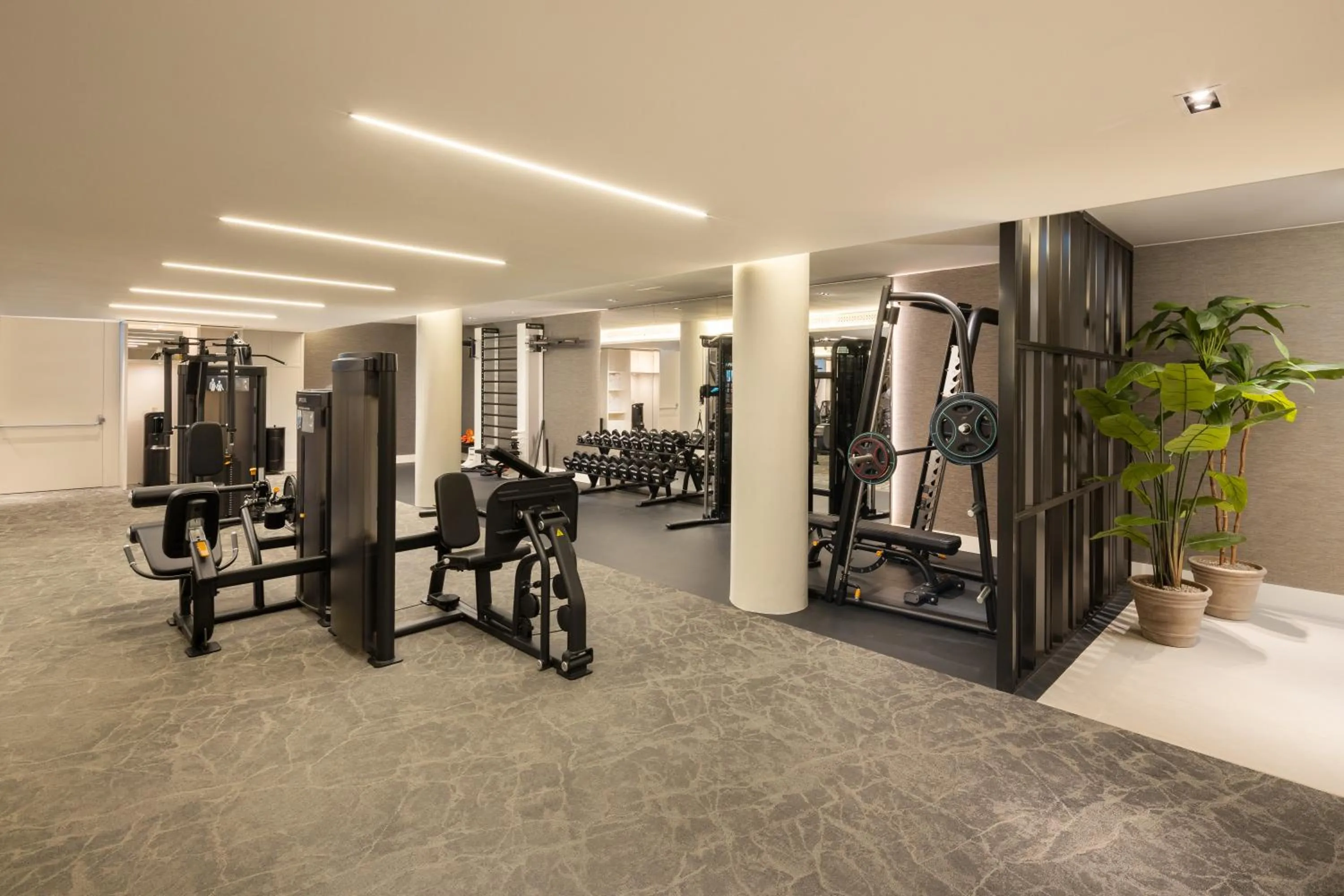 Fitness centre/facilities in Hilton Heidelberg