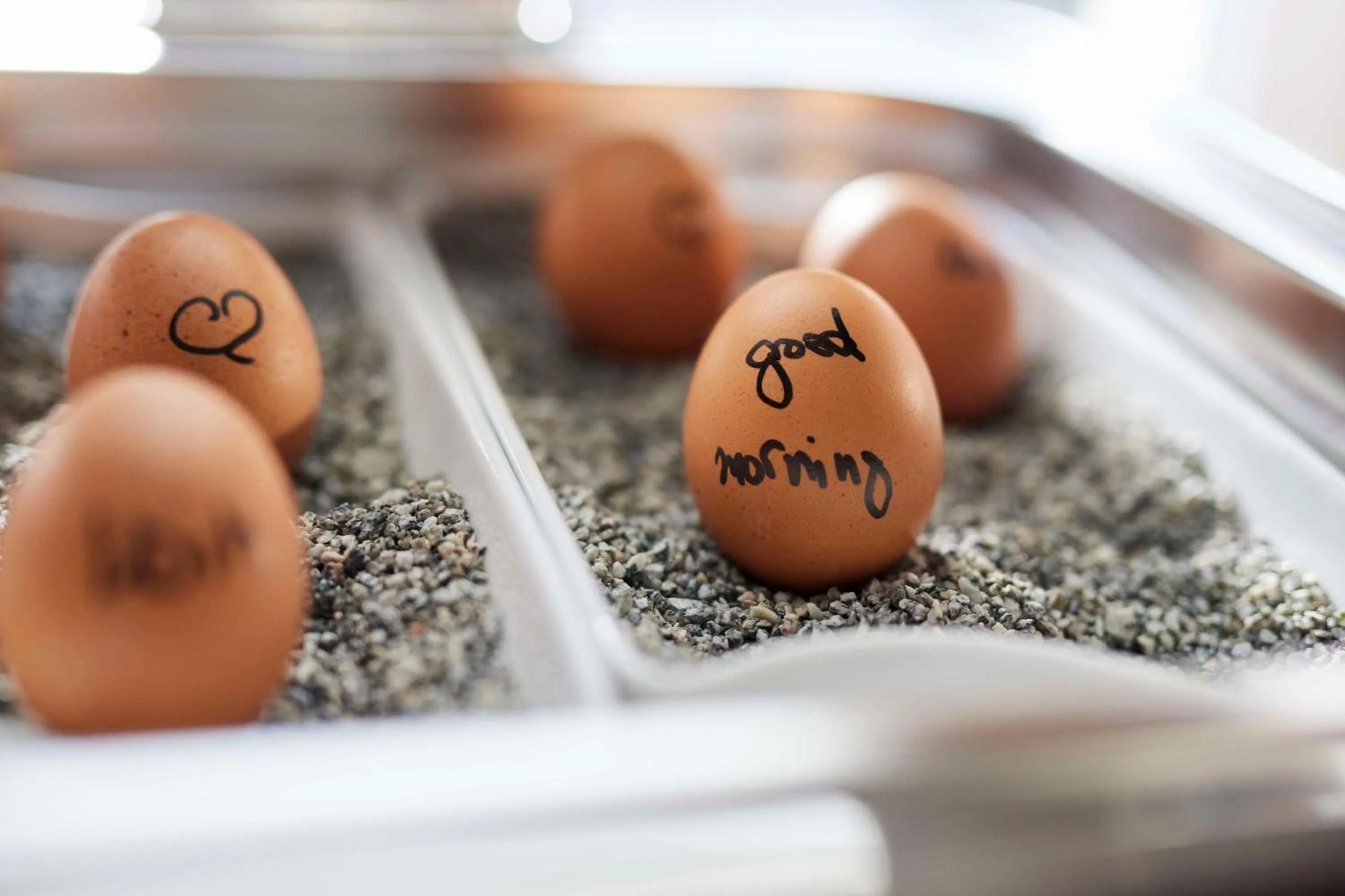 Breakfast in Best Western Raphael Hotel Altona