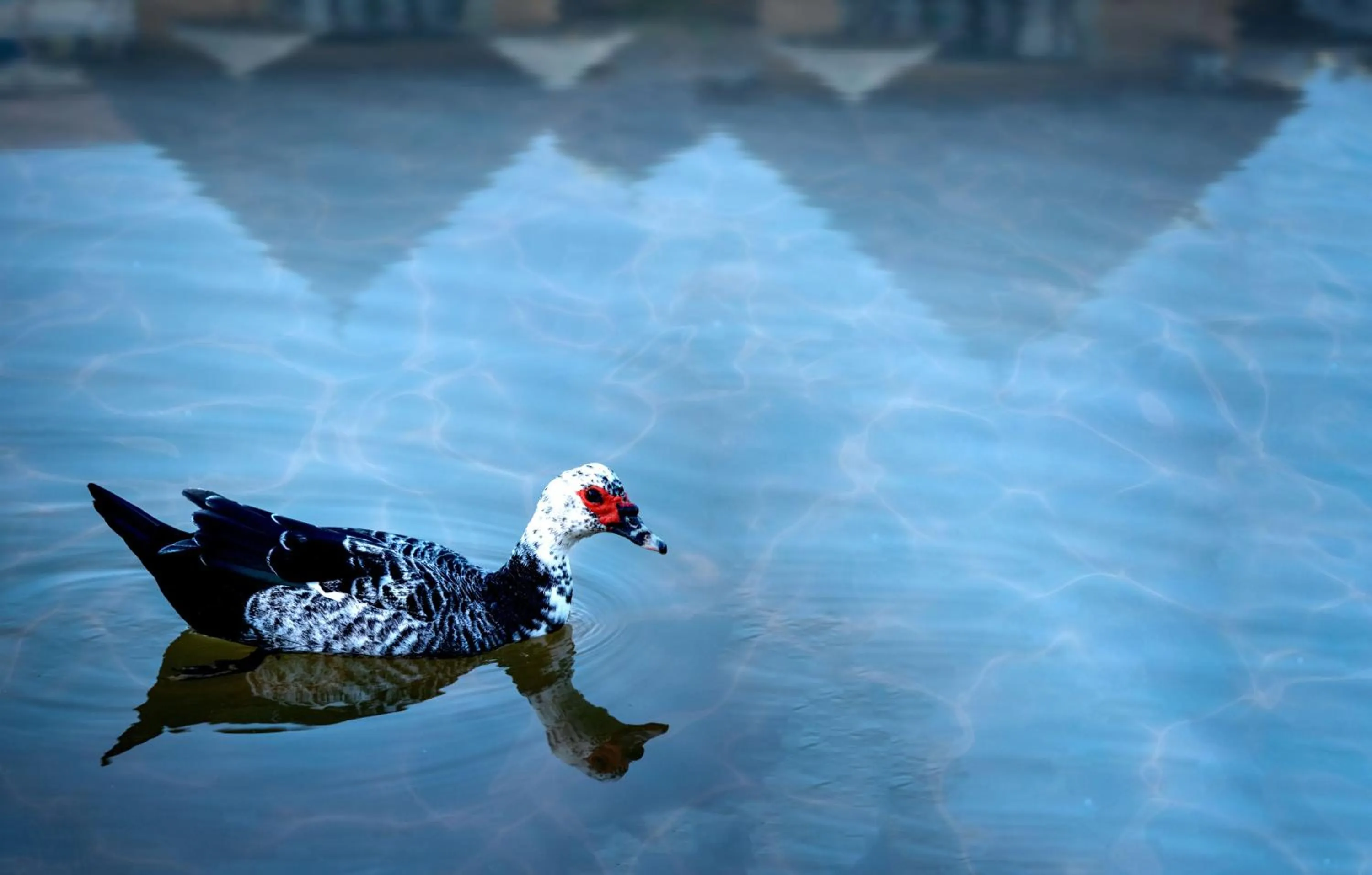 Garden view in Bamboo Village Resort