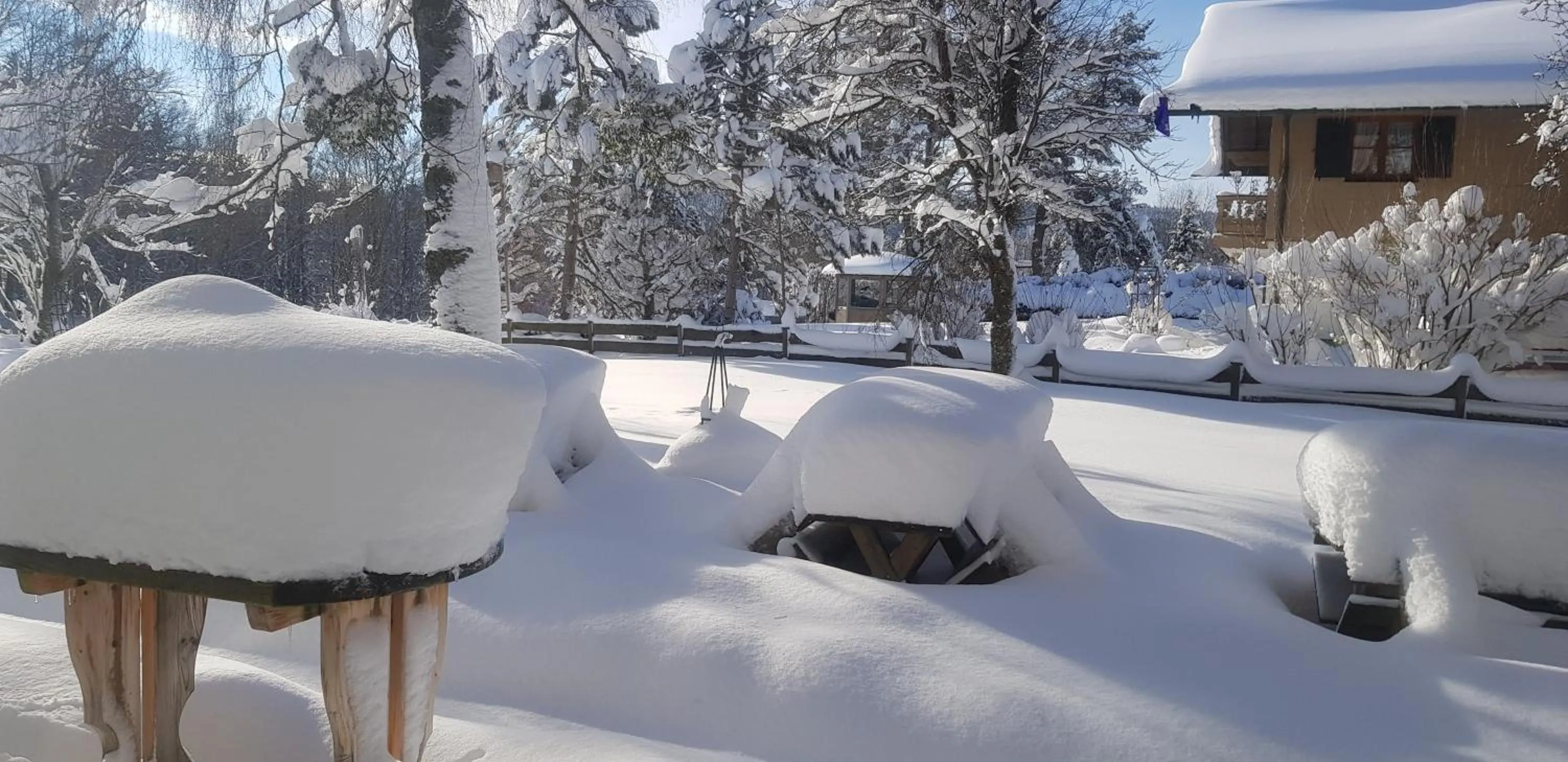 Natural landscape in Hotel Alter Wirt