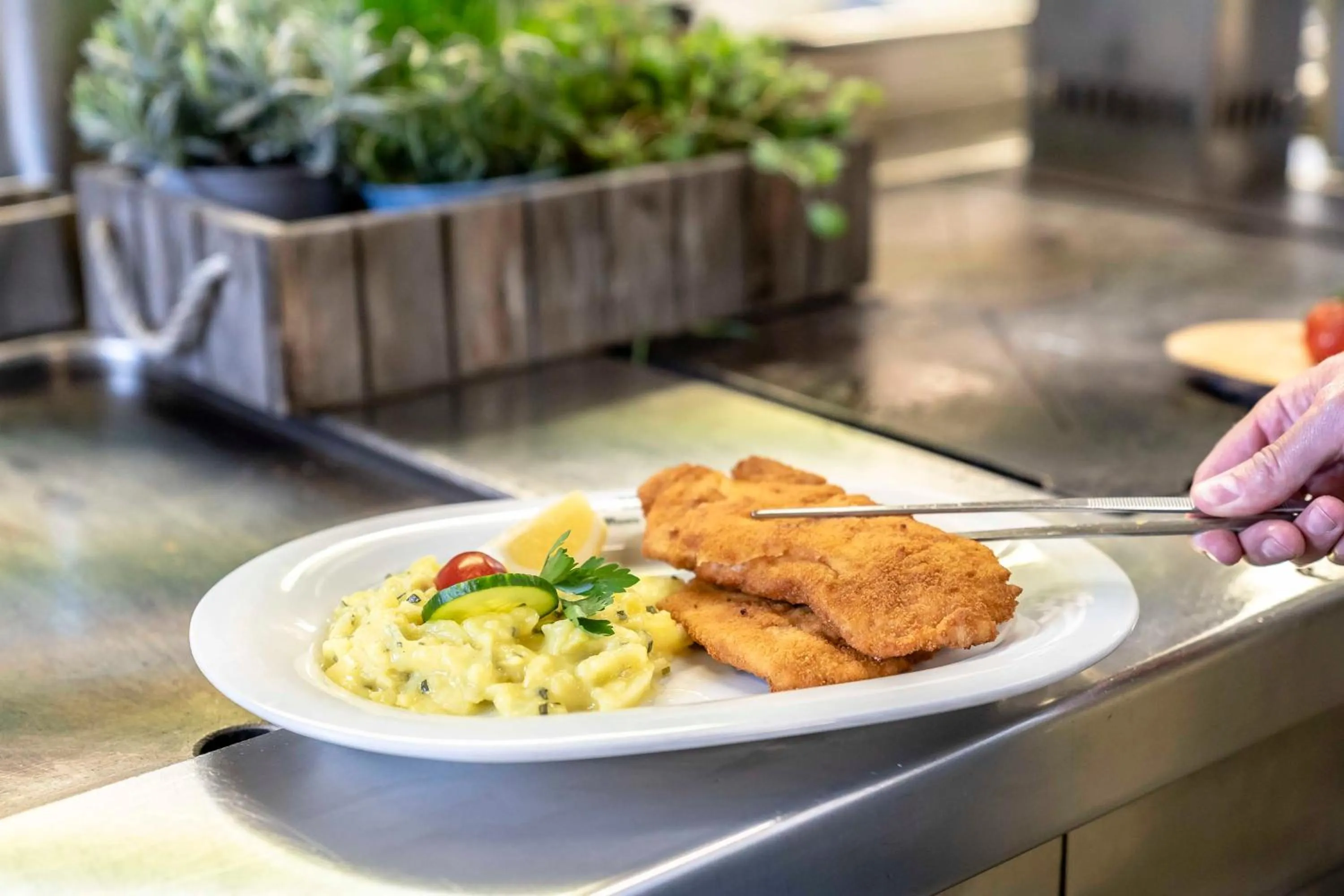 Food and drinks in Hotel Alter Wirt