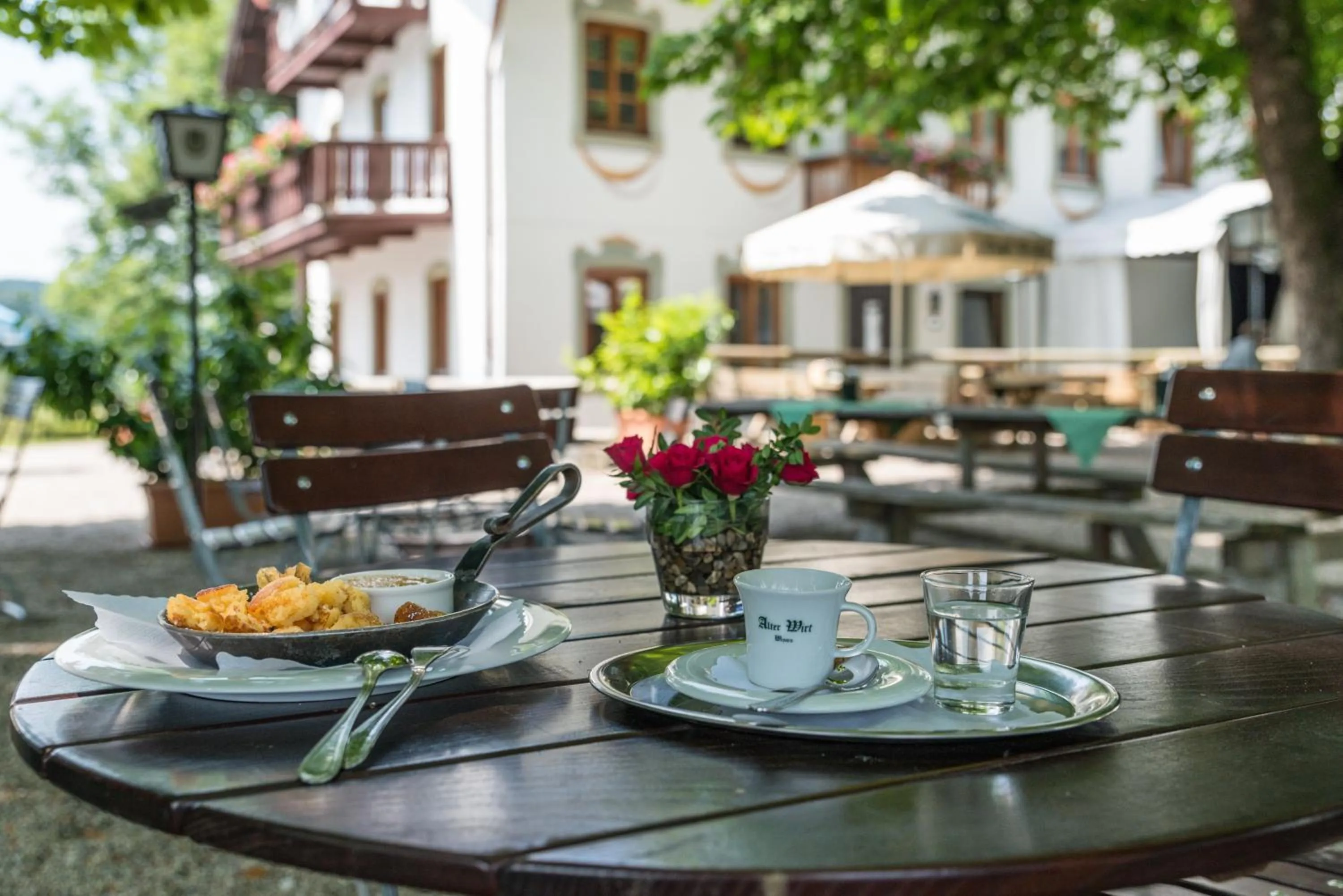 Restaurant/places to eat in Hotel Alter Wirt