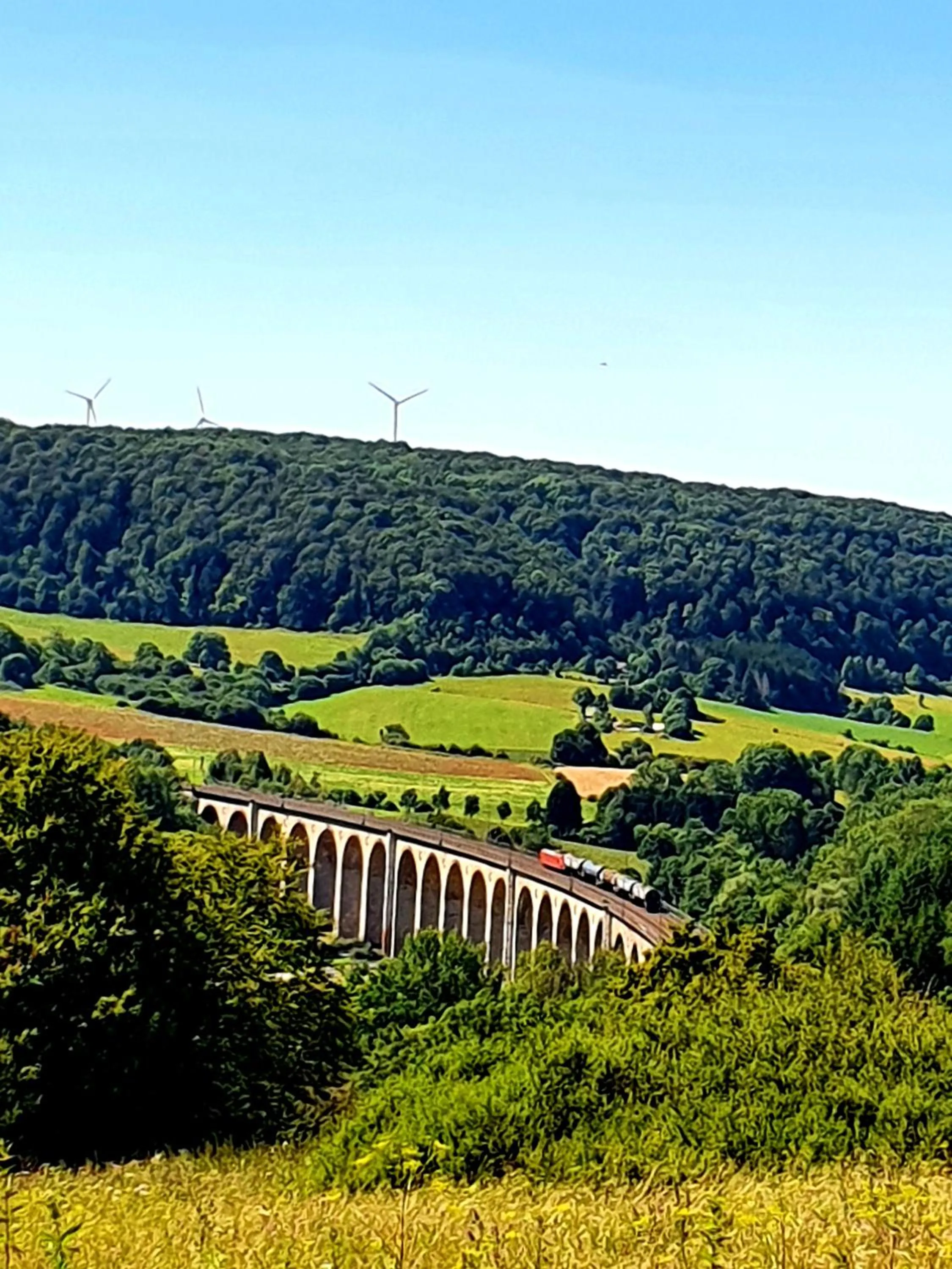 Cycling in Alt Enginger Mühle