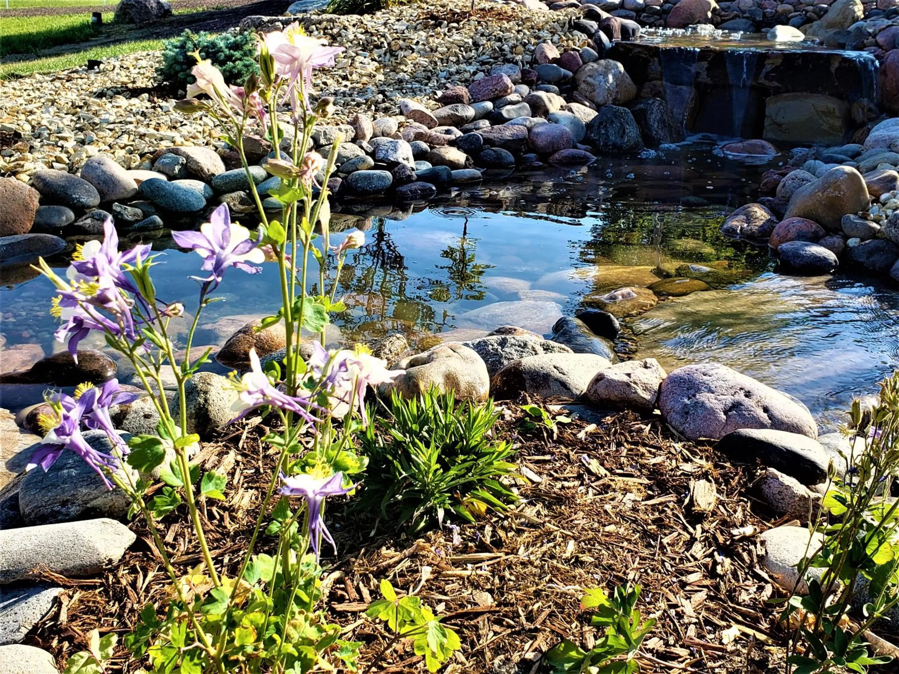 Garden in Peak Valley Manor, a Modern Farmhouse