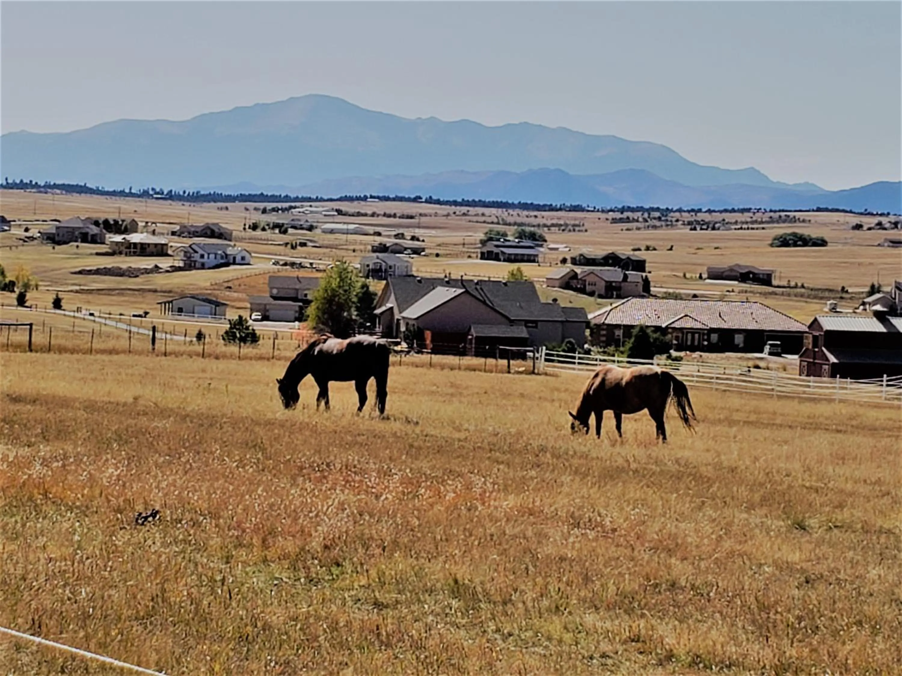 Mountain view in Peak Valley Manor, a Modern Farmhouse